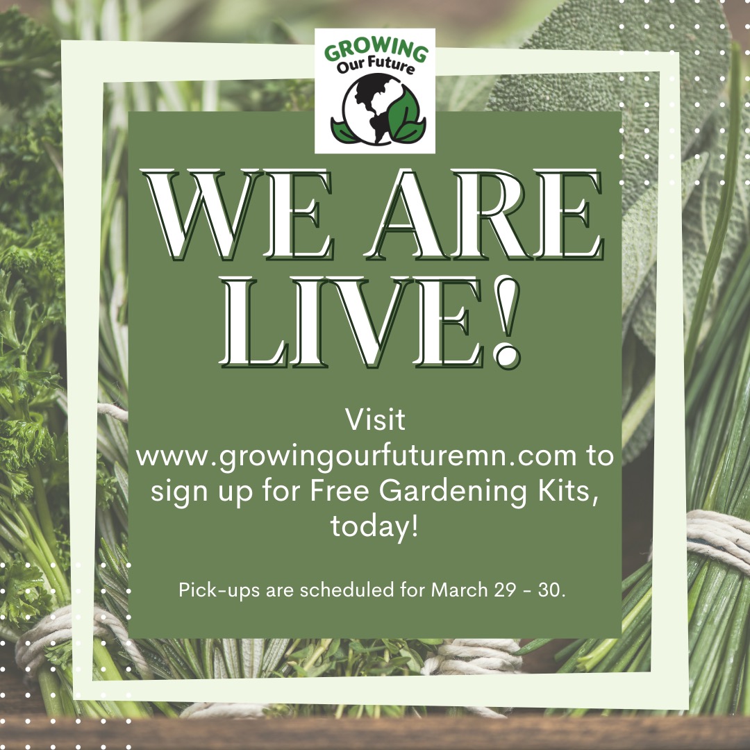 Growing Our Future has 250 FREE gardening kits to give away to youth in and around Bemidji, Minnesota. Register for your free gardening kits, today at www.growingourfuturemn.com or visit the link in our bio! #freegardeningkits #gardeningmn #MNyouth #Learntogarden #SpringGardening