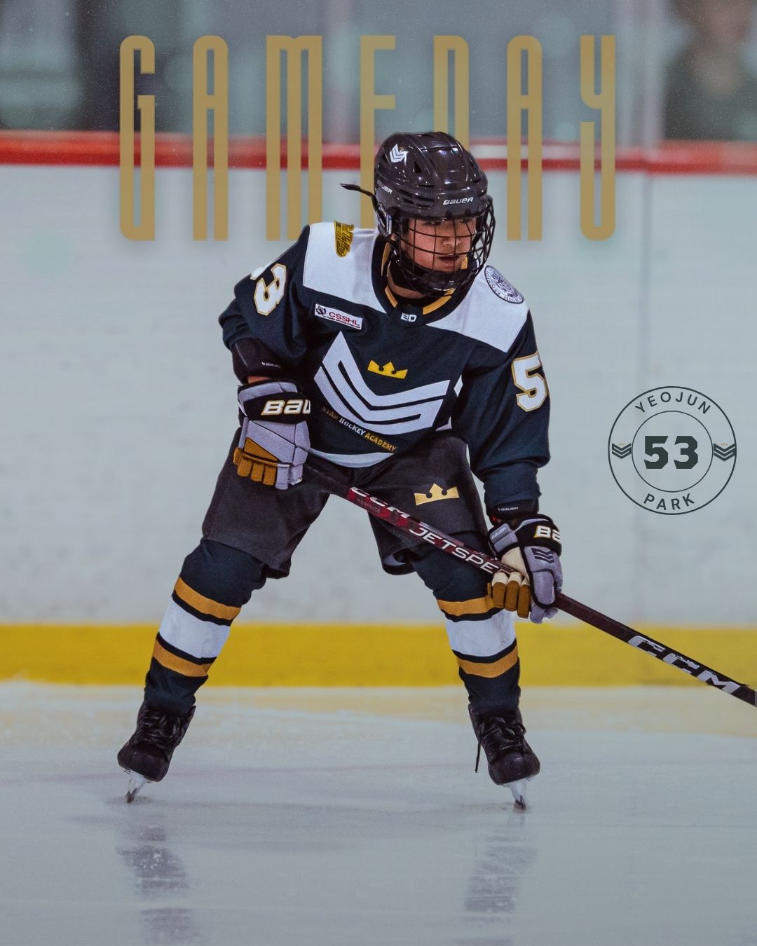 Did you miss us? Cause we missed you...last home games for U15.
Feb 21st : U15 vs CDA 5:30 PM
Feb 22nd : U15 vs CDA 10:00 AM
#starhockeyacademy #csshl