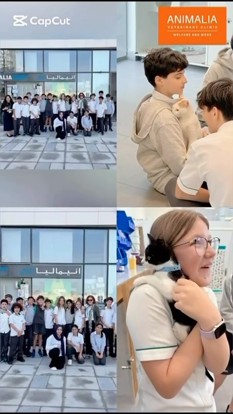 A huge thank you to the students and staff of Al Raha International School for joining us at Animalia for a week of inspiring animal welfare educational activities.
Their compassion for animals was inspiring. This next generation will undoubtedly become ambassadors for animal welfare. Whatever paths they choose in life, they will lead with compassion, respect, and knowledge — a truly powerful combination.
Why do we believe education is essential to improving animal welfare?
Education brings about positive change.�Education changes lives.�Educated people make responsible choices.�Educated people make informed decisions.�Educated people choose animal welfare.
We firmly believe that animal welfare education is paramount to transforming the lives of animals. Education is for everyone. There are no boundaries, no limitations — only the shared desire to create a better future for all living beings.
If you would like to learn more about our school and university programmes, please get in touch via WhatsApp on 0544424987.
If you are a business interested in incorporating animal welfare into your Corporate Responsibility remit, contact us on WhatsApp at 0544424987.
If you are an individual who would like to take part in one of our programmes, we would love to hear from you — WhatsApp 0544424987.
#FriendsofAnimalia #GiftofLife #animaliauae #uae #animalwelfare @risabudhabigc @risabudhabikcc