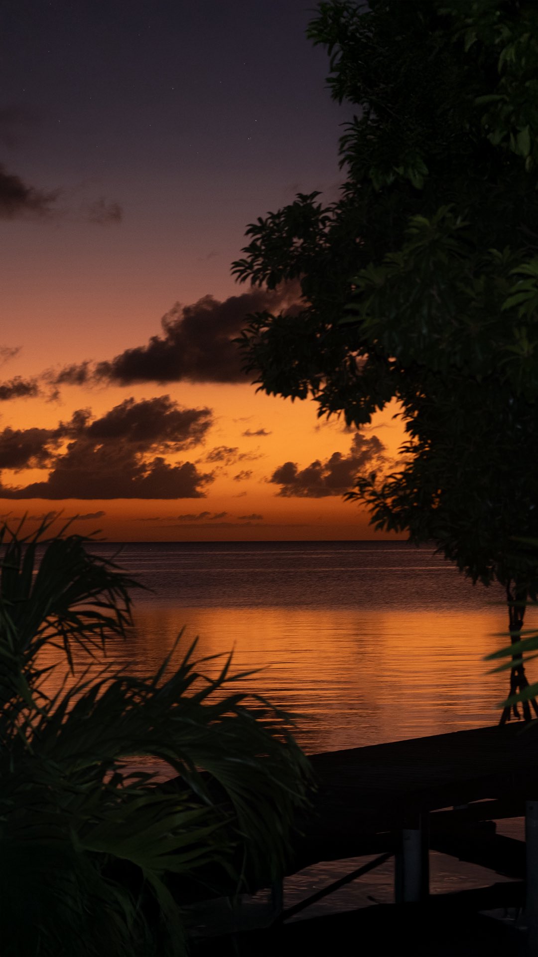 There’s something sacred about the moment the sun begins to set. The light softens, the air shifts, and for a few quiet minutes, everything asks you to slow down.
On Secret Beach, this might be the best seat in the house. Watching the sky change color over the water has a way of settling your thoughts, easing your nervous system, and reminding you that not everything needs to be rushed.
At Ix Chel, we pause for sunsets. And somehow, they always give more than they take.
#sunset #secretbeach #sanpedrobelize #timelapse #ixchelwellnessresort