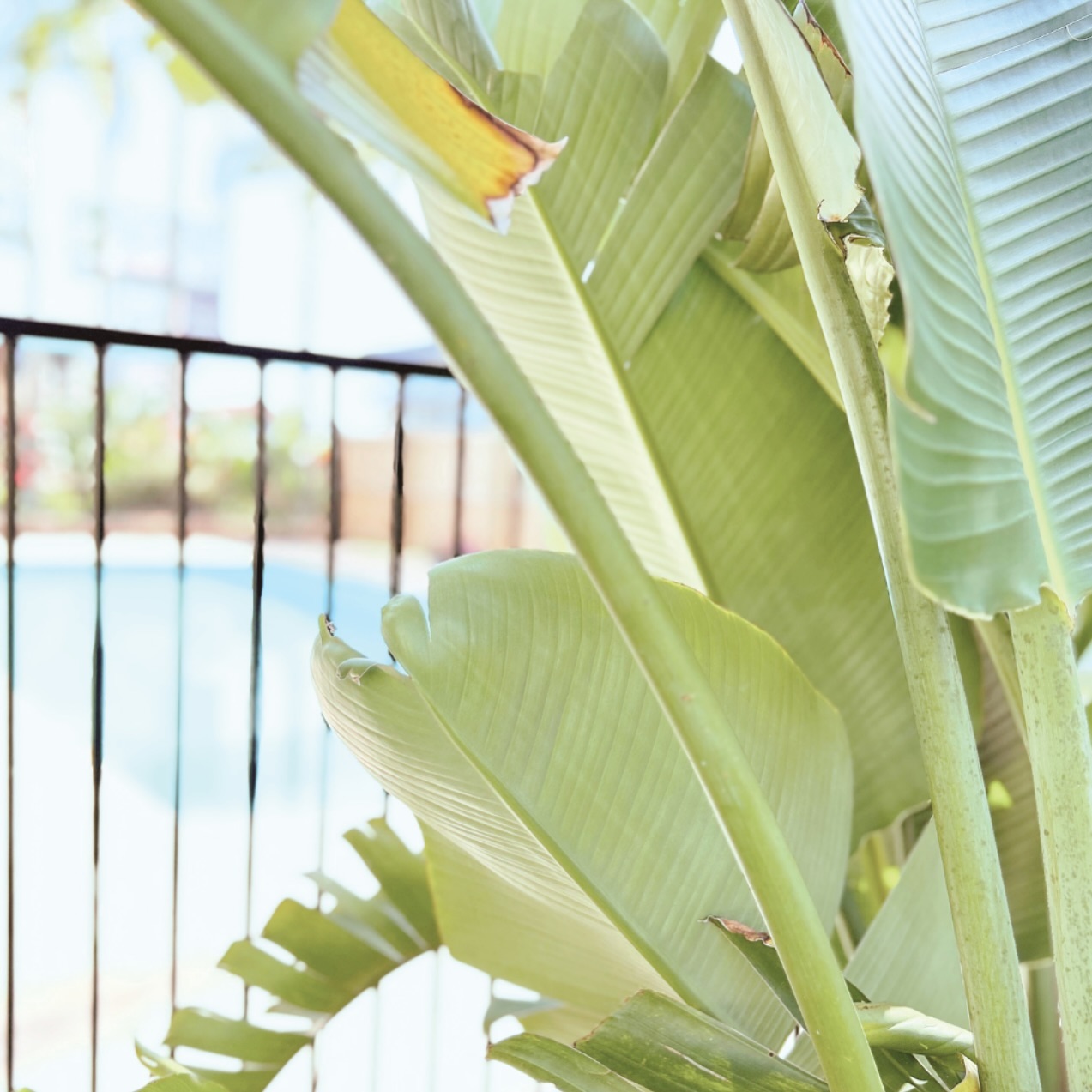 Experience stunning, uninterrupted views through our floor-to-ceiling windows. Spanning 180 degrees, the south end views offer a unique perspective of Wallis Lake, Forster Tuncurry Bridge and the motel’s pool- something you won’t find at just any motel or event venue. It’s all about the relaxed coastal vibe when you hire this event space!