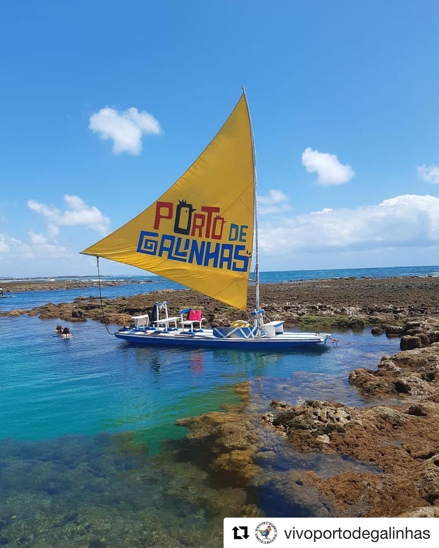 #Repost @vivoportodegalinhas with @get_repost
・・・
👶🏻VACACIONES CON NIÑOS:
- El paseo en jangada es la mejor forma de conocer las piscinas naturales con niños, ya que al hacer el recorrido arriba del barquito, no tienen que caminar por los corales.
⛵️Desde la jangada van a tener una vista muy linda y van a experimentar la sensación de navegar.
Otro de los puntos a favor es que el paseo dura 1 hora asi que es perfecto para los más impacientes🤩
Cuánto cuesta el paseo: R$30 por persona!
.
📸 de @dieegojs .
.
#Alquilertemporada #passeiodebuggyportodegalinhas #vacacionesenbrasil #alquilerdebuggy #playasdebrasil #vacacionesconhijos #viajarabrasil #argentinosenbrasil #cordoba #topofbrazil #mejoresplayas #vacacionesenfamilia #vacacionesconniños #excursiones #maracaipe #muroalto #pontaldecupe #familia #portodegalinhas #buggy #turismobrasil #uruguayosenbrasil #viajarconniños #vacaciones #traslados #paraguayosenbrasil #uruguay #alquileresenbrasil