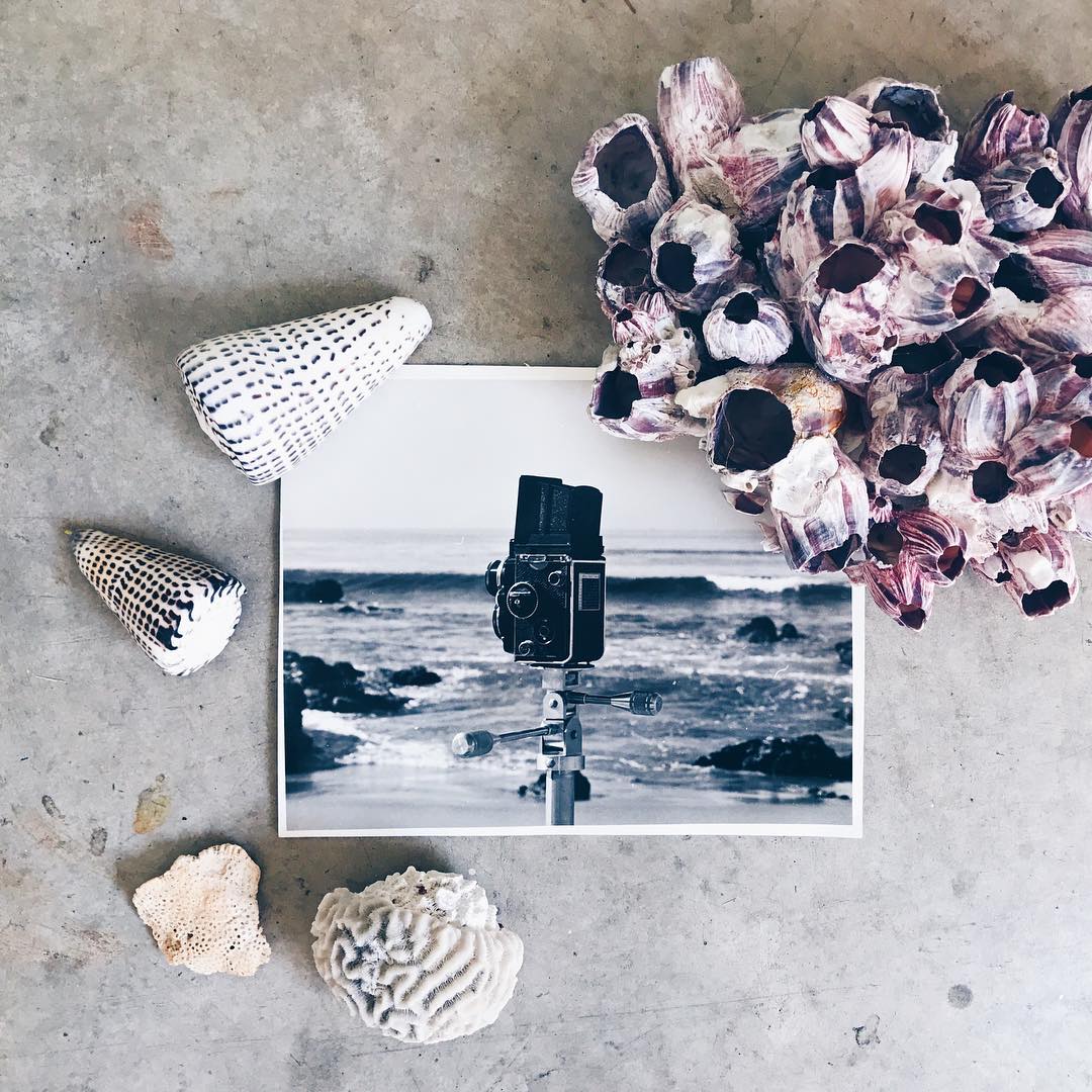 My art studio is currently filled with sunlight, Beach Boys, burning incense and lots of shells 🐚 I'm feeling an endless summer painting series comin' on...