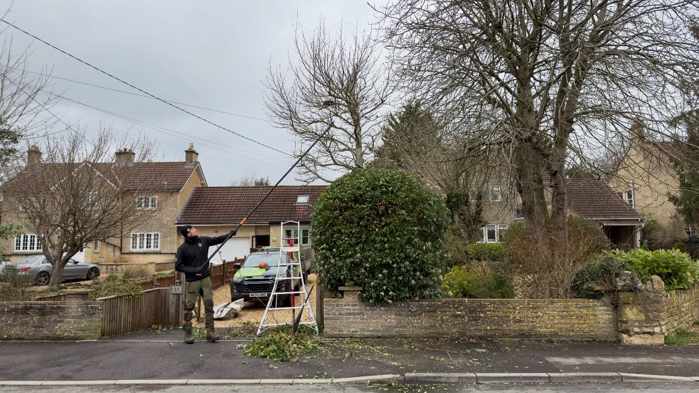 It’s all about the big snips today ✂️🌿
A full garden tidy-up with reductions across the smaller trees and a good trim on the shrubs to get everything back under control. Nothing drastic — just careful shaping and light reductions to keep everything balanced, healthy and looking its best 🌳
Jobs like this make a huge difference to the overall feel of a garden — more light, cleaner lines, and plenty of room for fresh growth heading into the season 🌱
All waste removed and left neat and tidy as always ✅
#MJBGroup #GardenTidyUp #TreeReduction #ShrubCare #ProfessionalFinish