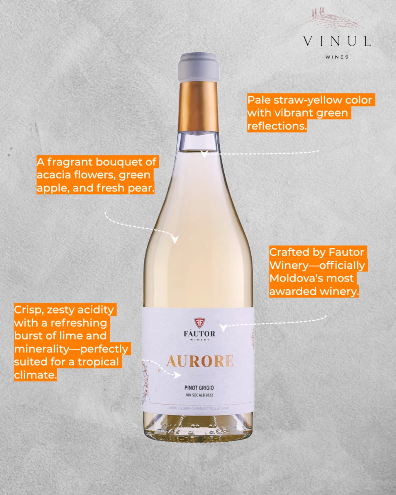 If you are looking for a white wine that brings both elegance and ultimate refreshment, this Fautor Pinot Grigio is an absolute standout.
Crafted in the premium Valul lui Traian region by Moldova’s most awarded winery, this bottle perfectly captures the vibrant, zesty expression of the grape. It opens with inviting aromas of green apples, fresh pears, and delicate acacia flowers, leading into a beautifully balanced palate with crisp citrus notes. Because of its bright acidity and clean finish, it is incredibly food-friendly and drinks wonderfully in our warm Malaysian weather, whether you are pouring it for a relaxed evening or pairing it with a fine seafood dinner.
Now available in Malaysia. DM for orders.
#moldovanwine #qualitywine #finewine