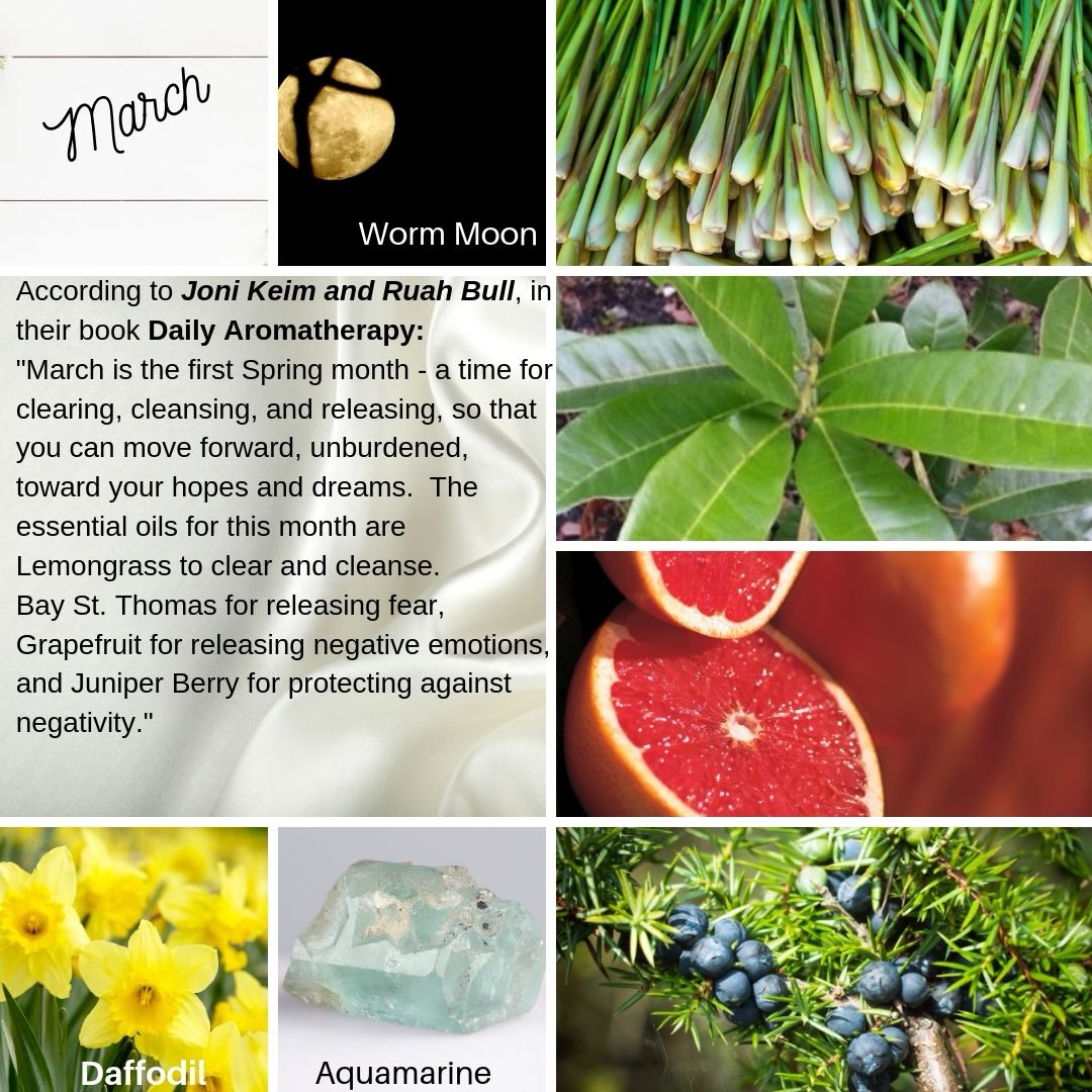 🌕 March Energetics | Essential Oils, Worm Full Moon & Tarot XVIII – The Moon
Welcome to March — a sacred threshold of clearing, cleansing, and gentle release. 🌱✨
As the seasons begin to shift, we’re invited to shed what feels heavy and reconnect with our inner knowing.
The Moon card, aligned with Pisces season, heightens intuition, emotional awareness, and subtle insight. It reminds us to trust what we feel, even when the path ahead isn’t fully illuminated. As spring approaches, new beginnings are quietly stirring beneath the surface.
✨ For deeper insights and a full breakdown of The Moon card, read the blog post (link in bio):
https://www.bevhawkinsinspired.com/post/march-energetics-worm-full-moon-pisces-season-the-moon-tarot-insights-essential-oils
If you are interested in creating, developing or tweaking your own essential oil blends, I do offer Aromatherapy Consultations on my website. Info in Bio.
#MarchEnergetics #WormFullMoon #TheMoonTarot #EssentialOils #Aromatherapy