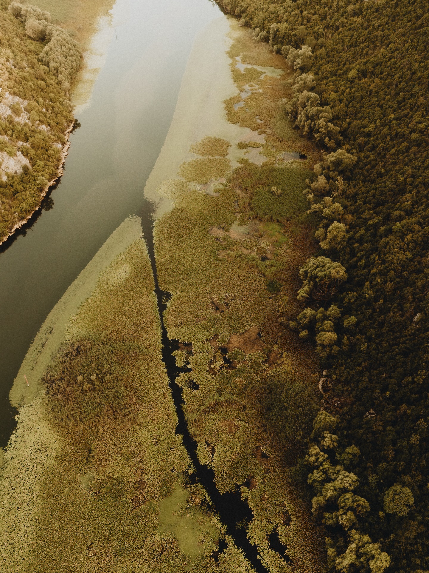 Novi printovi su na sajtu (… a link u opisu profila); iskreno, tu su već tri dana, ali ako ne zapišem na to do listu da se vi ne možete informisati iz moje glave = nije se ni desilo. 🌸
