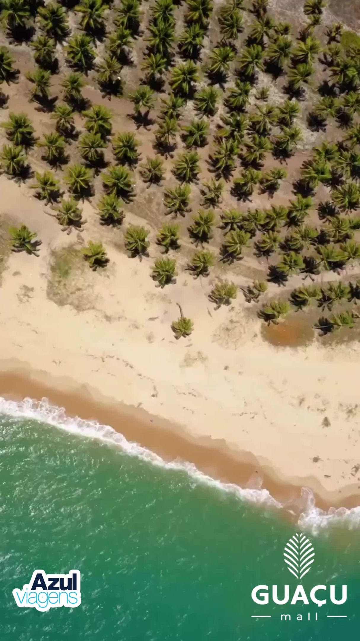 ✈️ Seu próximo destino começa aqui.
Na Azul Viagens do Guaçu Mall você encontra pacotes completos, atendimento personalizado e as melhores oportunidades para transformar seus planos em realidade.
@azulviagensmogiguacu
🚩Av Padre Jaime, 1.800 - Vila Ricci, Mogi Guaçu - SP
#compras #mogiguaçu #comprasmogiguaçu #comprasmogimirim
MRC BRASIL MARKETING