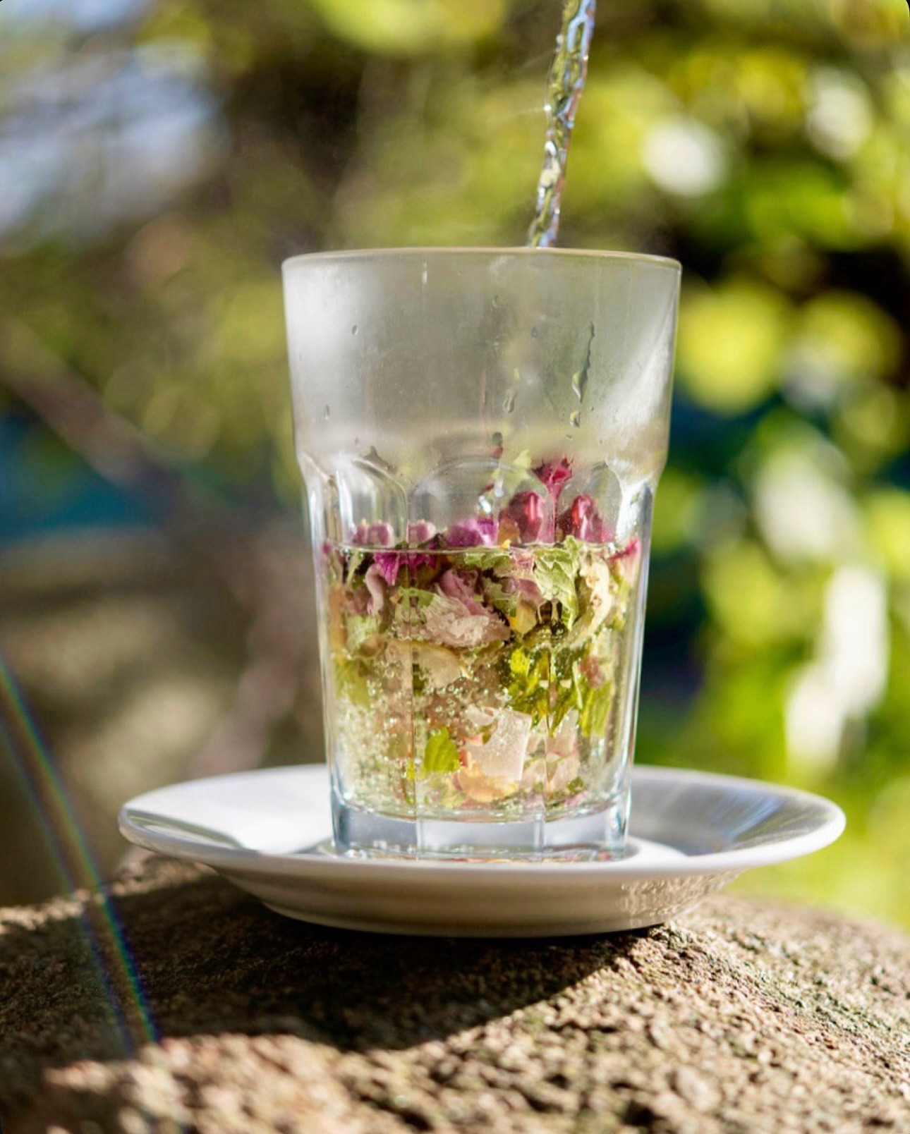 Himmlische Nacht - Tee mit Malve, Lavendel und Klatschmohn! Den Tee gibt es bei uns im Hofladen 🫖🍵💫