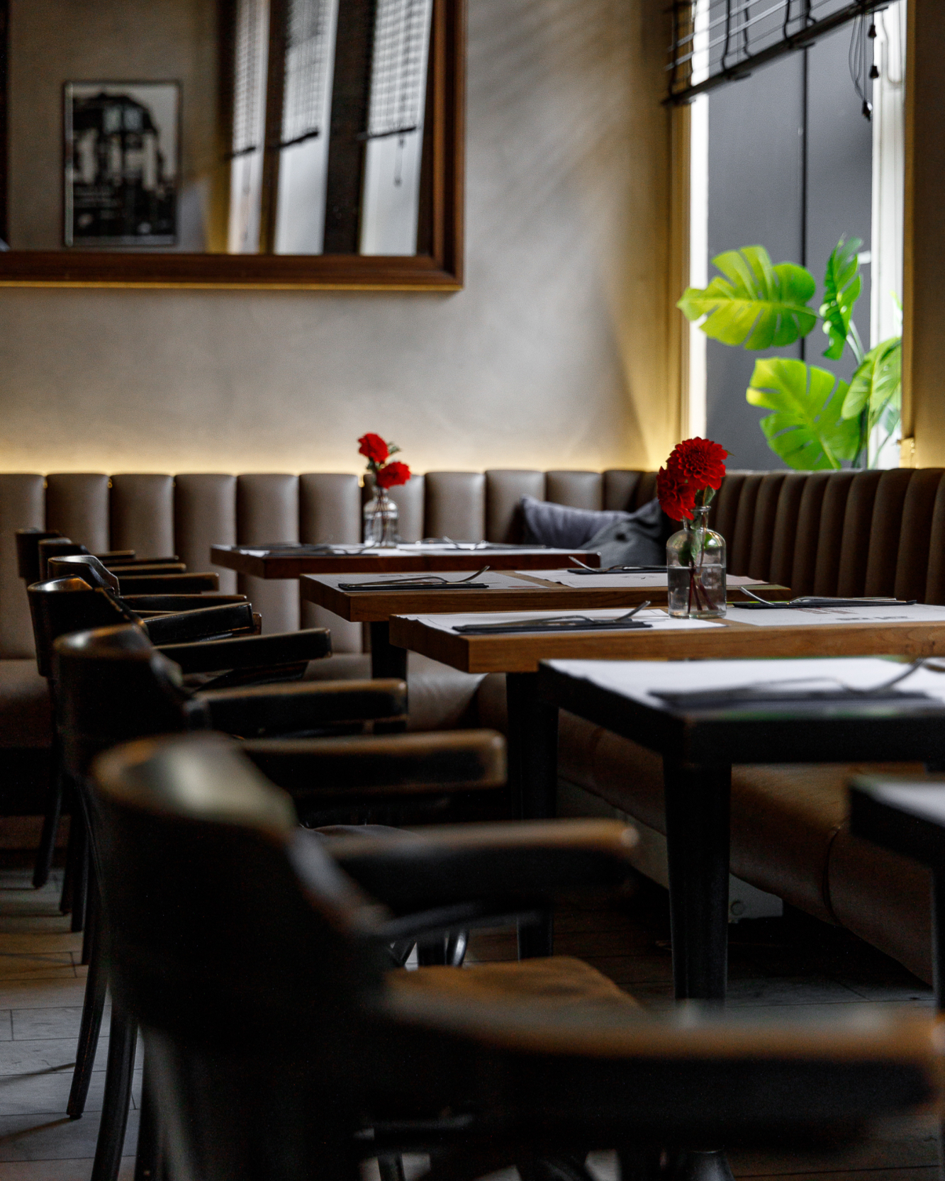 Ein Ort, an dem alles zusammenkommt – Atmosphäre, Stil und das Gefühl, willkommen zu sein. Im Ludwigs trifft zeitlose Eleganz auf gemütliche Gelassenheit. Hier beginnt der Tag mit einem Lächeln und endet oft später, als geplant. Denn manchmal findet man genau den Platz, an dem man einfach bleiben möchte.
#ludwigskarlsruhe #50jahreludwigs #euerlieblingsplatz #karlsruhegenießt #caféludwigs #genussmomente