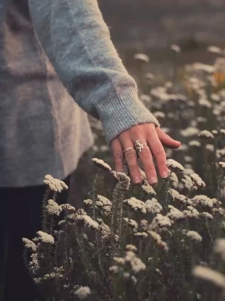 🌸 GEWINNSPIEL 🌸
Ich verlose 2 × 1 Slowflower-Mappe aus der Blühmelei.
Dich erwartet eine liebevoll gestaltete Sammlung mit sämtlichen Pflanzenportraits und einer konkreten Schritt-für-Schritt-Anleitung für deinen eigenen Schnittblumenanbau.
Von A wie Aster bis Z wie Zinnie –
mit allen Besonderheiten der jeweiligen Blumen:
🌱 Aussaatzeitpunkt
🌱 Keimverhalten & Keimtypen
🌱 Bodenbeschaffenheit
🌱 Bodenvorbereitung
🌱 Pflege & Ernte
und, und, und,…
Kurz gesagt: Alles, was du wissen musst, um deine eigenen Schnittblumen erfolgreich anzubauen.
Praxisnah, fundiert und mit ganz viel Herz zusammengestellt
So kannst du teilnehmen:
✔️ Folge @bluehmelei
✔️ Like diesen Beitrag
✔️ Markiere einen Blumenmenschen in den Kommentaren
(+ Extra-Los: Teile den Beitrag in deiner Story)
⏰ Ende: 01. März 23:59
🍀 Die Gewinner:innen werden per DM benachrichtigt.
Ich wünsche dir ganz viel Glück!
#gewinnspiel #blumendieanmorgendenken #spreadmoreflowers #flowersallovertheworld #blumenmachenglücklich