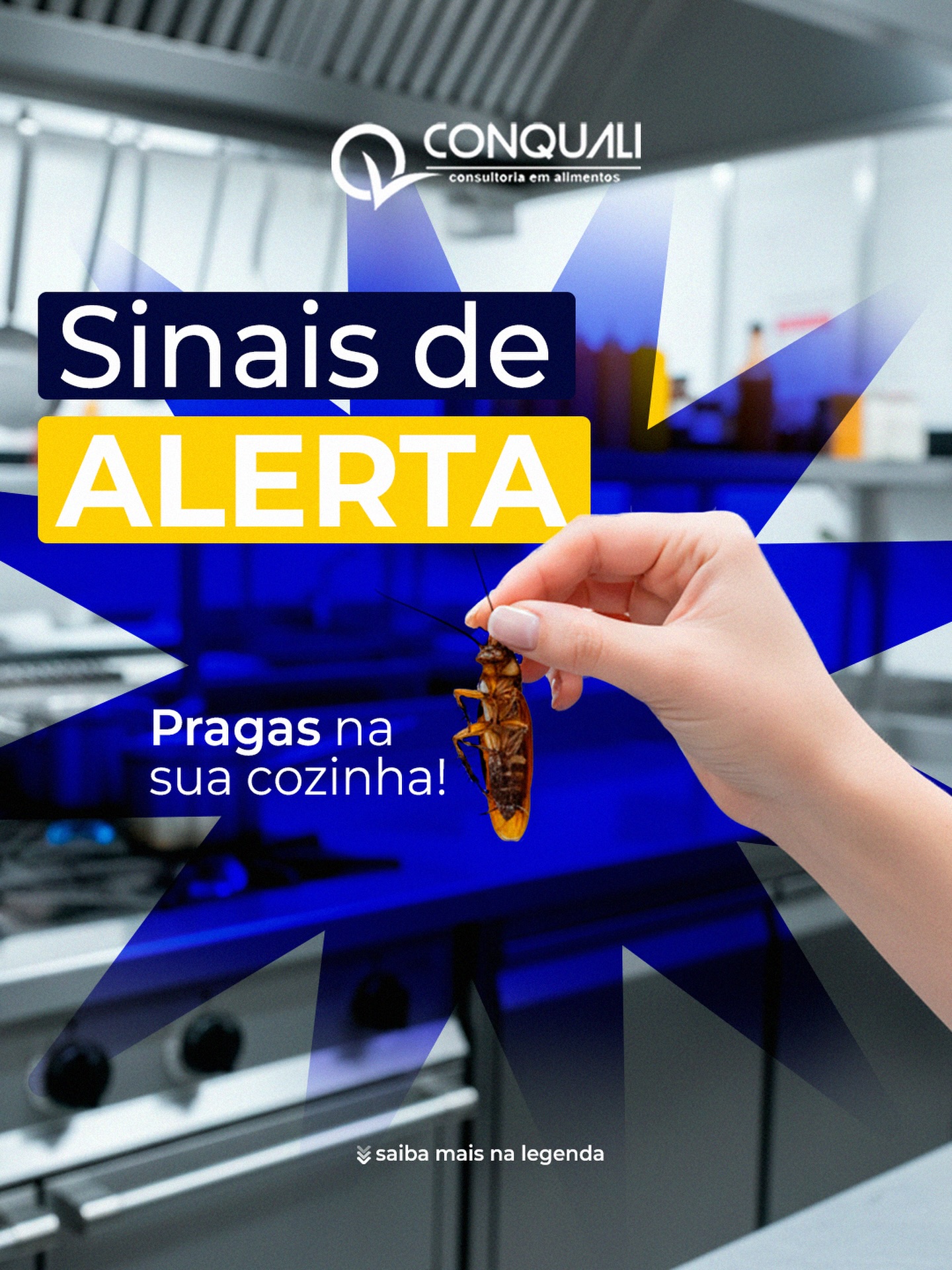 Praga não aparece do nada.
Ela encontra brechas.
Insetos e roedores são consequência de falhas estruturais e operacionais: ralos sem vedação, portas desalinhadas, armazenamento incorreto, resíduos expostos, falta de rotina de higienização e ausência de monitoramento.
⚠️ Sinais de alerta na sua cozinha:
– Presença de fezes ou manchas escuras próximas a rodapés e equipamentos
– Embalagens roídas ou perfuradas
– Odor forte e incomum no ambiente
– Insetos próximos a luminárias ou áreas úmidas
– Ralos sem tampa adequada ou telas danificadas
Ignorar esses sinais compromete a segurança dos alimentos, expõe sua operação a autuações e afeta diretamente a credibilidade do seu negócio.
Controle de pragas não é só contratar dedetização.
É ter barreiras físicas, procedimentos padronizados e registros atualizados.
A Conquali atua na prevenção: diagnóstico técnico, adequação estrutural e organização dos processos para reduzir riscos sanitários.
Se há sinais, é hora de agir.