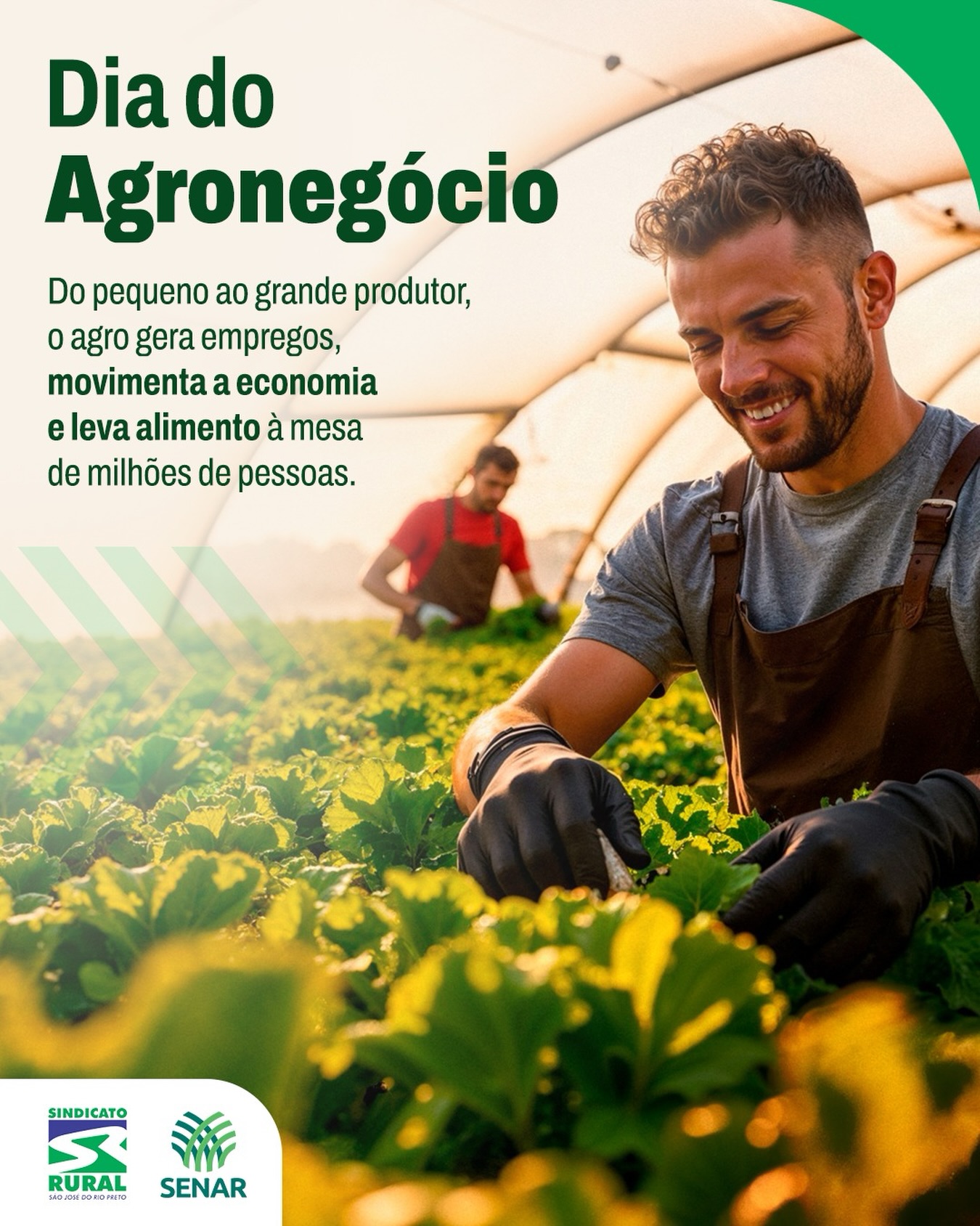 O campo é trabalho, inovação, tradição e desenvolvimento. É resultado de dedicação diária, planejamento e coragem para enfrentar desafios e seguir produzindo.
Neste Dia do Agronegócio, nosso reconhecimento a todos que fazem parte dessa cadeia produtiva e contribuem para um Brasil mais forte e próspero.
Telefone: (17) 3232-5115⠀
Site: www.sindicatoruralsjrp.com.br
#SindicatoRuralSJRioPreto #DiaDoAgroNegócio #SãoJoséDoRioPreto