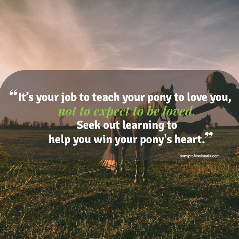Being loved by a horse requires more than just being receptive. You have to teach the horse how to love you - teach the horse how to look at your face and read your expressions, how to stay side by side with you - things he can do that make you happy. Many humans think animals love unconditionally and emphatically, so they just show up and expect the horse to be affectionate and warm. Expecting love will set you up for disappointment in life. Horses live in the present, which makes them very neutral moment to moment. We should use that as an opportunity to become worthy of love, not to be complacent. Many people offer their animals the worst side of themselves, hoping their animal will use their animal magic to fix it. The magic of horses is in their ability to hold space for us to get right inside ourselves. They aren’t there to enable us, they are there to walk away from you every time you have it wrong and then meld with you when you have it right.
#horse
#equinefacilitatedlearning #horsequotes #equinetherapy #horsetrainer #ridinginstructor #horsetrainer #equestrianblog