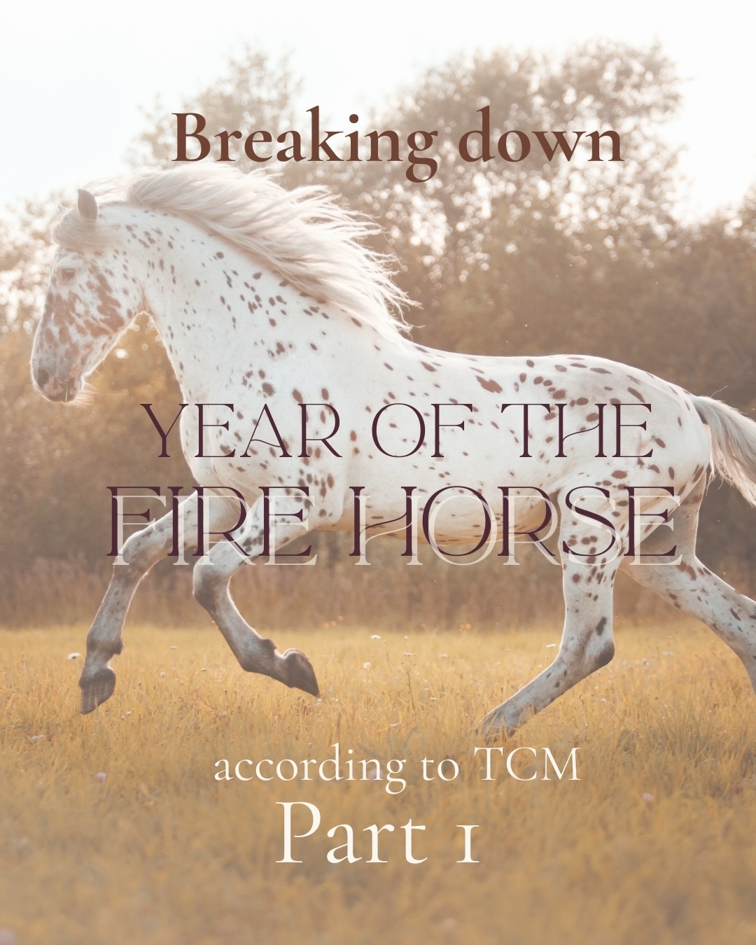 Let’s take a look and breakdown this glorious ”Year of the fire horse” in a mini series of several parts diving into each section and it’s meaning according to TCM! And of course we are starting with the horse 🔥
•
•
•
#yearofthefirehorse #yearofthehorse #tcm #örtriket #tcmwisdom