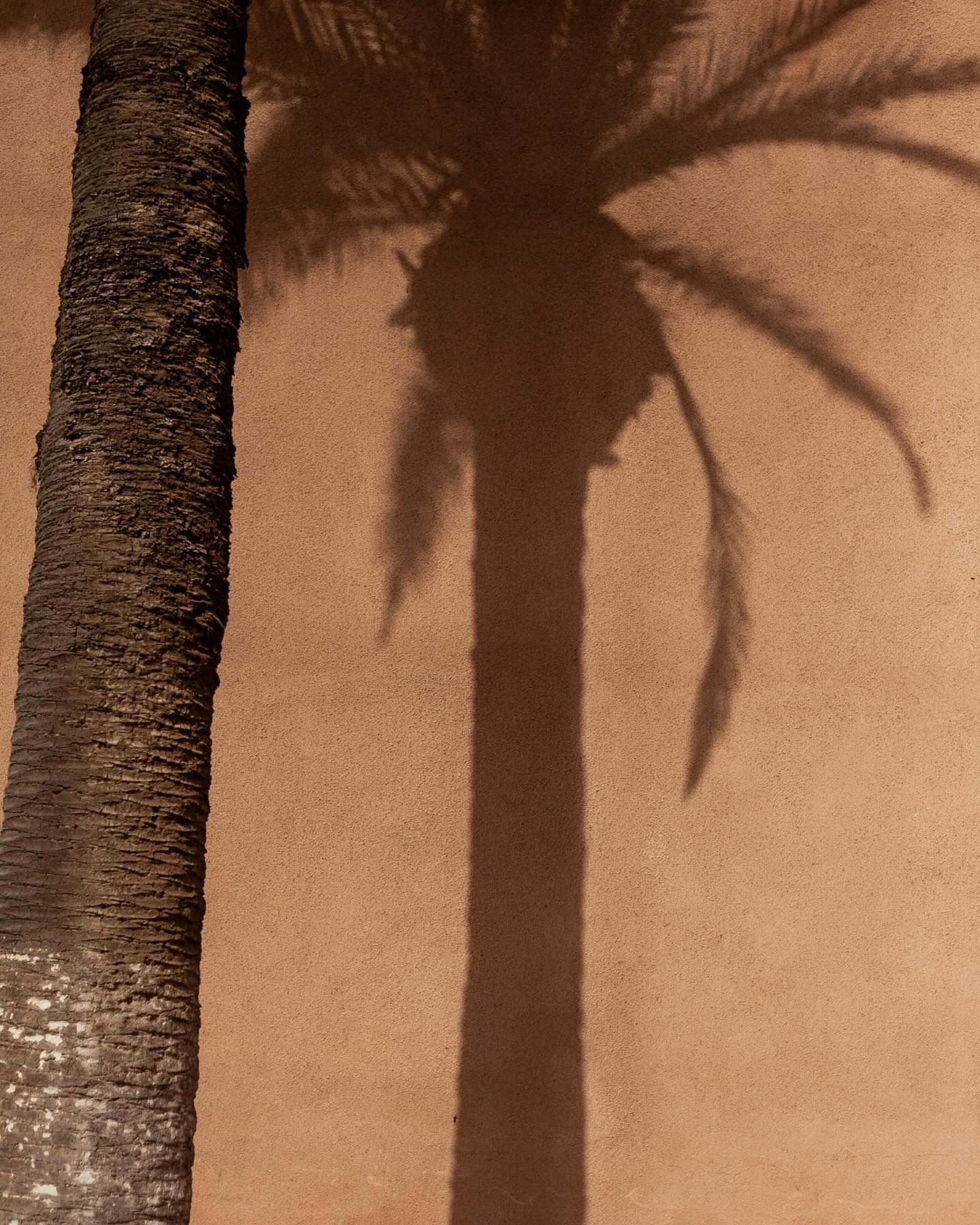 Moroccan mood 🌞Wandering cats, sun-kissed walls, golden light and lots of shooting✨