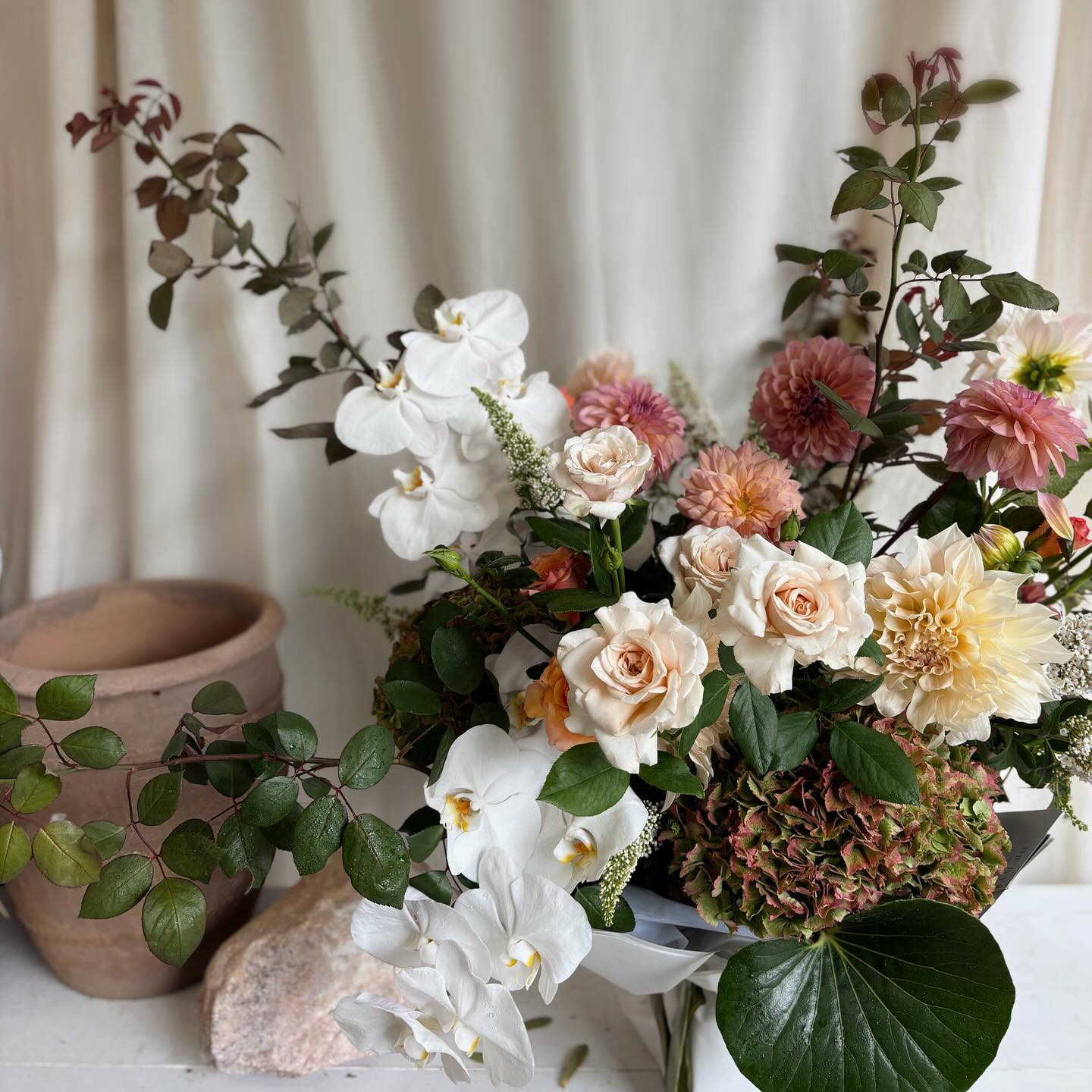 Today’s favourite 💫