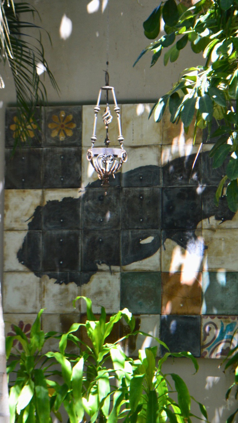 🌿 ULTIMA LLAMADA PREVENTA — HOY 🌿
Hoy es el último día para inscribirte al
Taller de Herbolaria Tradicional Mexicana
con precio especial de preventa.
📍 Hotel Kunuk, Centro de Mérida
🗓 28 de febrero
⏰ 10:00 a.m. a 1:00 p.m.
Incluye:
• Desayuno completo
• Meditación guiada
• Parte teórica y práctica
• Elaboración de 4 remedios herbales
• Todos los materiales
💲 $900 preventa (solo hoy)
💲 $1,200 precio regular a partir de mañana