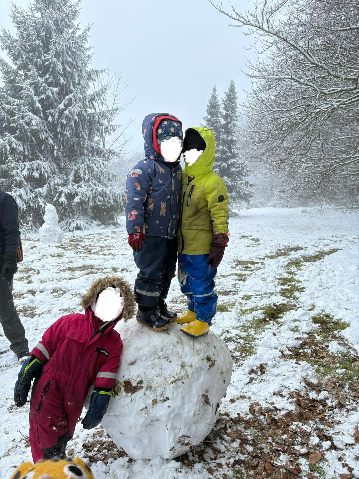 Wir verabschieden uns vom Schnee und freuen uns über die Frühlingshaften Temperaturen die diese Woche auf uns zukommen :)