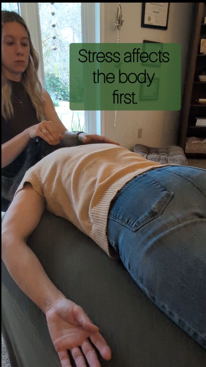 2 Types of Healing👇🏼
Your nervous system learns to downshift through repetition, not intensity... similar to how muscles get stronger from regular training, not one hard workout.
When you’re working with me, these are real-time signs you are responding:
Short-term signs:
• You feel sensation or ease along your spine
• Your breathing becomes deeper or more noticeable
• Digestion improves or feels more regular
• Your thoughts slow down or feel less reactive
• You notice stress sooner instead of carrying it all day
This means your body is processing input more efficiently.
LONG-TERM: What builds over time from those changes:
• Faster healing and recovery
• Better posture and coordination
• Improved hair and skin health
• More stable energy throughout the day
• A calmer baseline, even when life is busy
Short sessions prevent overload and give your body time to adapt.
Repeated sessions create lasting, measurable change.
Nothing is forced.
Your body changes because it’s repatterning layers of stress that live dormant in your nervous system.
#nervoussystem
#spinalflow
#bodybasedcare
#stressregulation
#bodyawareness