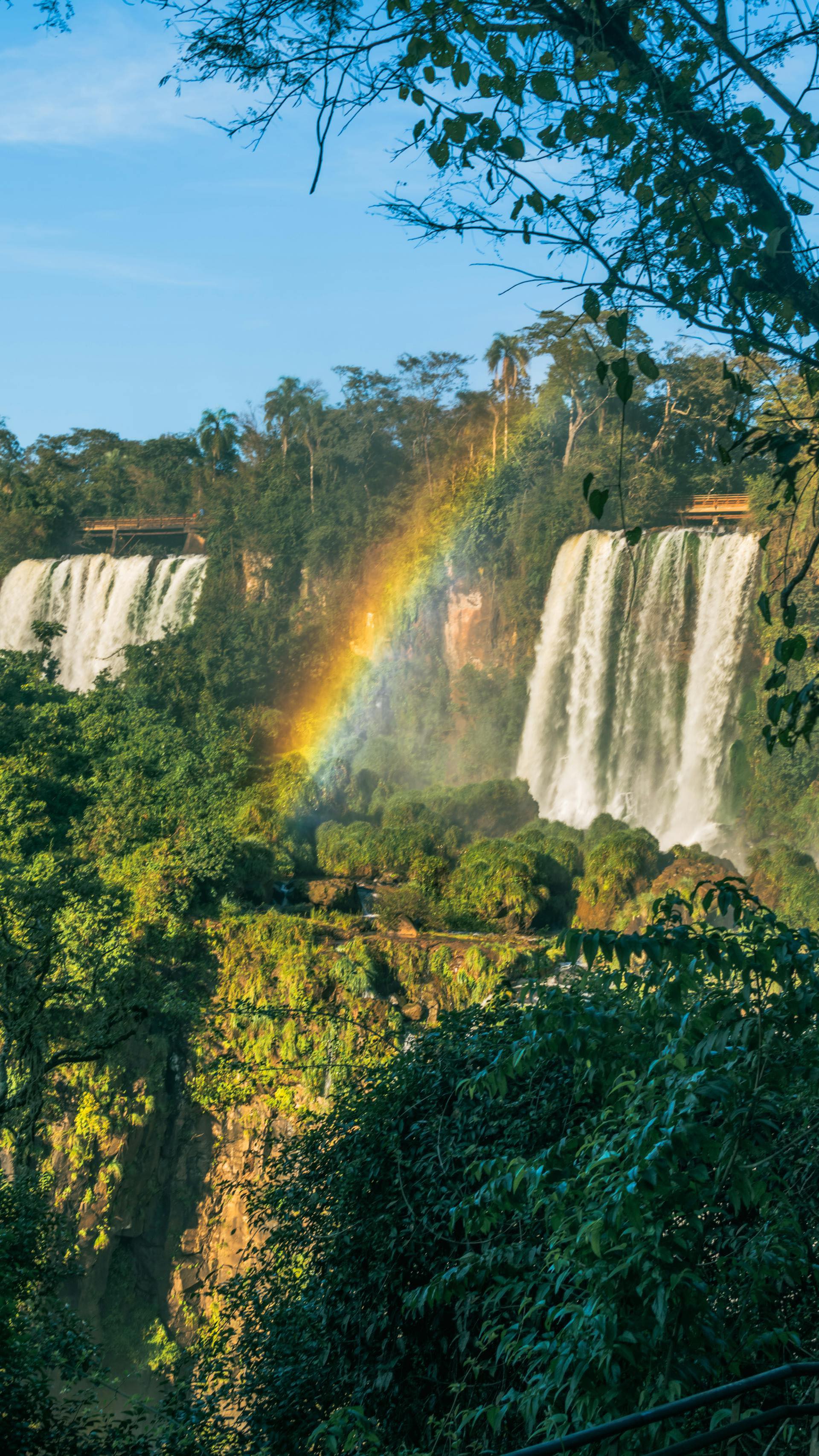 Entre hadas y arcoíris recordé mi verdad
🧚🏻♀️
Ya está lista la guía de Cataratas de Iguazú con todos sus imperdibles.
Y quiero decir que he recorrido mas de 30 países y las Cataratas del Iguazú sin dudas está siendo el lugar que más me impactó!
Deseo nunca olvidar el sonido de la Selva,
GRACIAS VIDA
#cataratasdeliguazú #iguazu #cataratasdoiguaçu🇧🇷