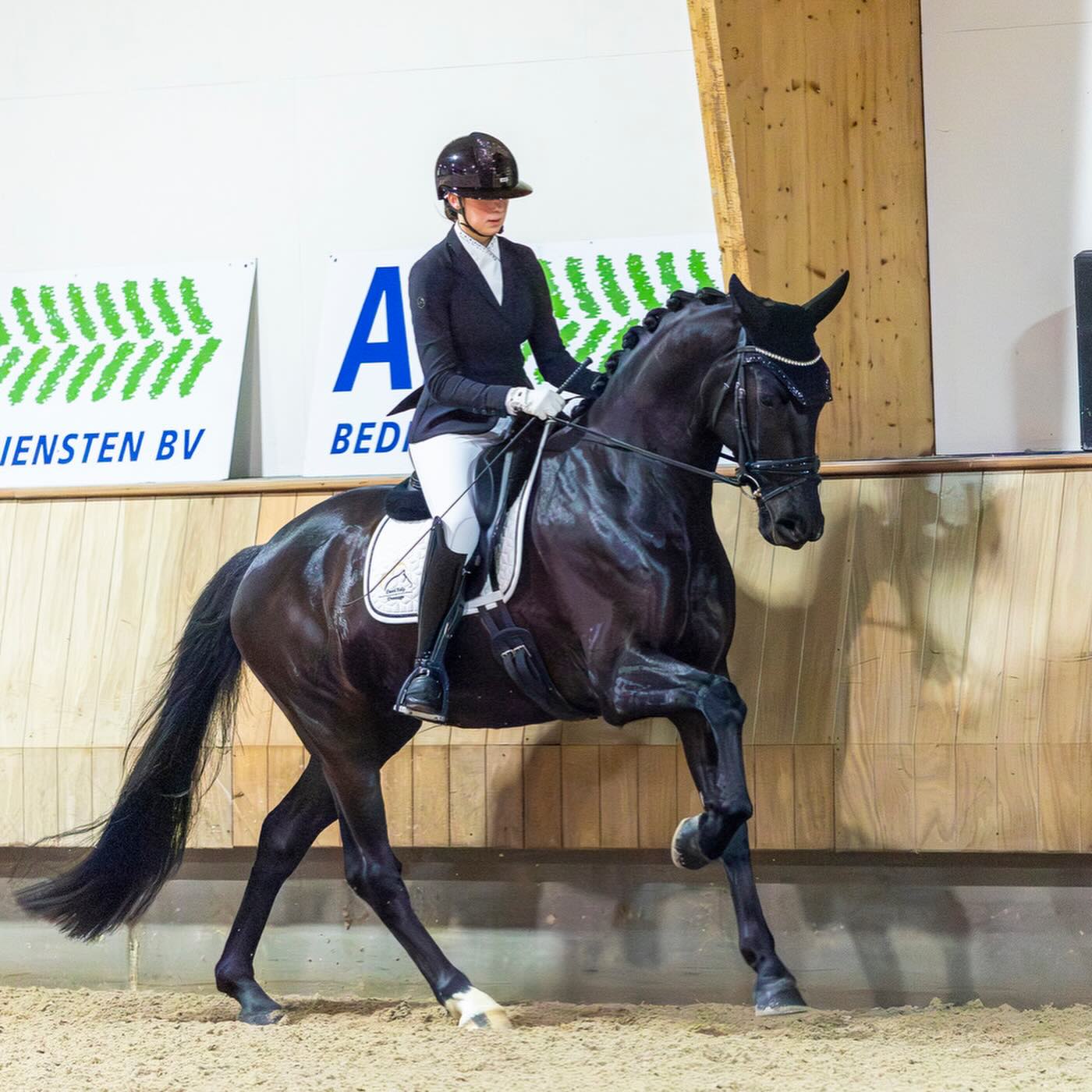Reserve Nederlands kampioen L2 indoor met maar liefst 74%! 🏆🇳🇱
Wat heb ik genoten tijdens onze proef... Hij liep met zoveel focus en uitstraling, echt alsof hij zei: “Dit gaan wij even doen.” Dat gevoel samen in de ring is echt magisch ✨
Ik ben zó trots op ons als team 🫶 En dit maakt me alleen maar nieuwsgieriger naar wat de toekomst ons nog gaat brengen.
The future is bright for him❤️
Op naar nog meer mooie momenten samen 🤍
@stal.tychon @diederik_wigmans @zalda_ruitersport