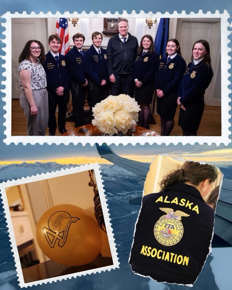 This last week, the Alaska FFA State Officer Team had the opportunity to assist and attend the Alaska Grown Dinner celebrating 40 years of Alaska Grown. We also had the privilege to work with the Alaska Farm Bureau to advocate for Alaska agriculture and FFA during Food Security Week. We are beyond thankful to be able to represent and be able to share the stories of all of our members
#FFA #alaskagrown #forgetmenot #alaskaffa #foodsecurityweek