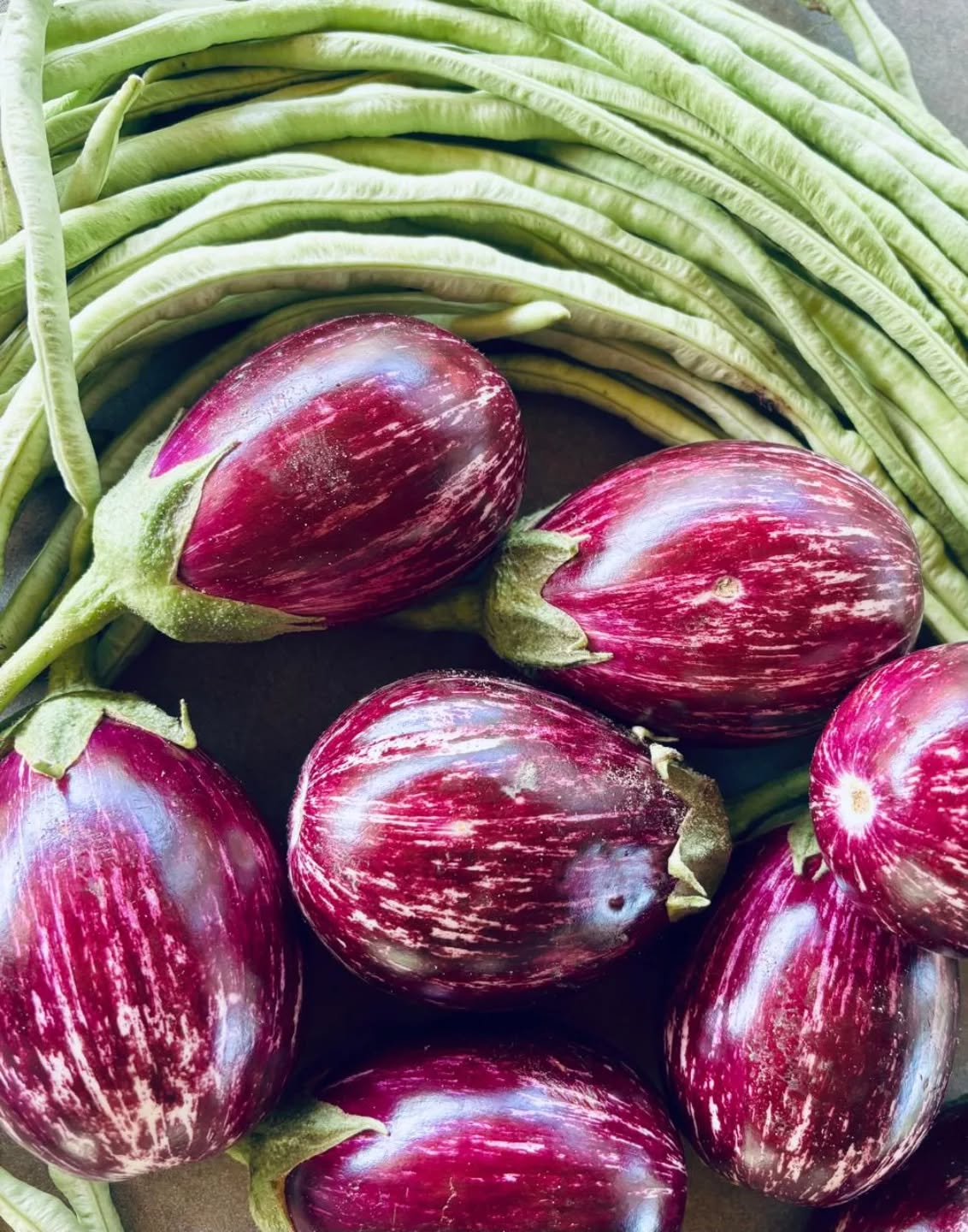 🌿 Fresh From Our Fields at FarmLife – Parra 🌿
Our organically grown Purple Brinjal and Long Beans are now ready for harvest!
Place your weekend orders, and we’ll harvest them fresh just in time for your pickup — straight from our farm to your kitchen.
💜 Purple Brinjal – ₹80/kg
🌱 Long Beans – ₹30 per bundle
Fresh. Seasonal. Naturally grown with care.
Send us a message to book your harvest! 🌾✨