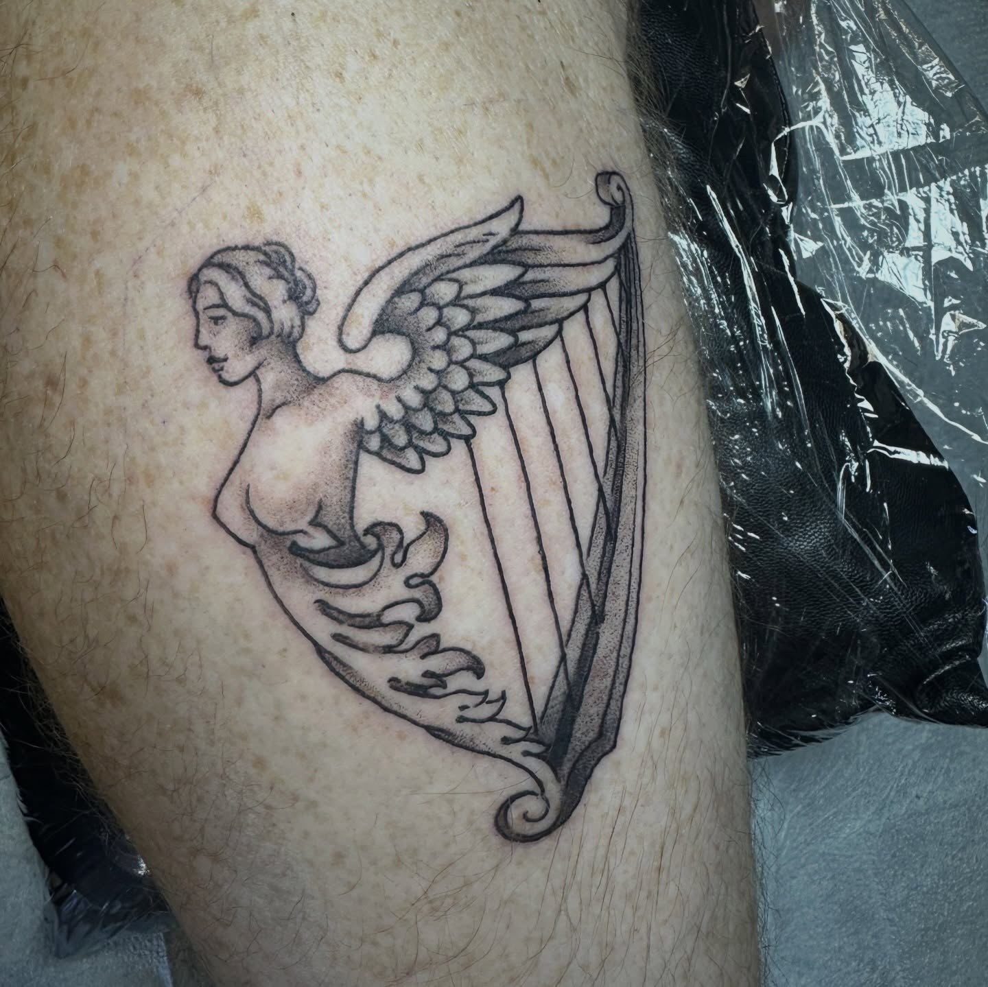 Thank you for all the awesome tattoos lately ❣️ here’s some fun ones.
I have time to tattoo you! Email or hit the link in my bio to get scheduled in 💌 plenty of flash available!! Taking customs always ❤️🔥
@electricavetattoo.atx @electricavetattoo.atx
#atx#atxtattoo#tattoo#finelinetattoo#fineline