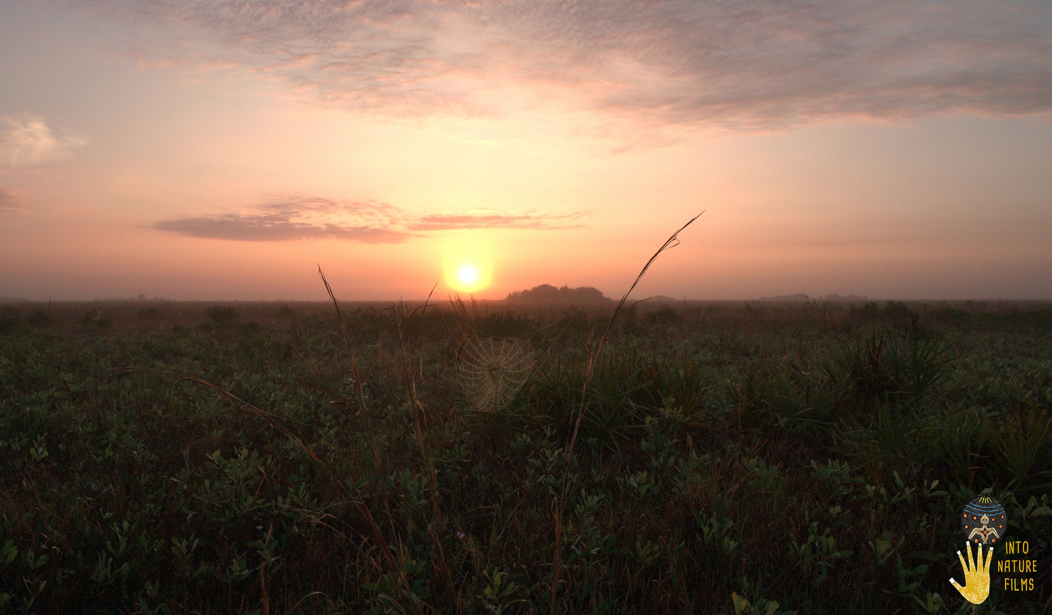 Good night 2024. We look forward to new film adventures in 2025, including in the ‘Little Amazon of Georgia’, the Altamaha River.
“A lifetime of fishing, swimming and birding has helped me learn firsthand that all aspects of our lives are tied to the health of our free-flowing streams.” Jimmy Carter