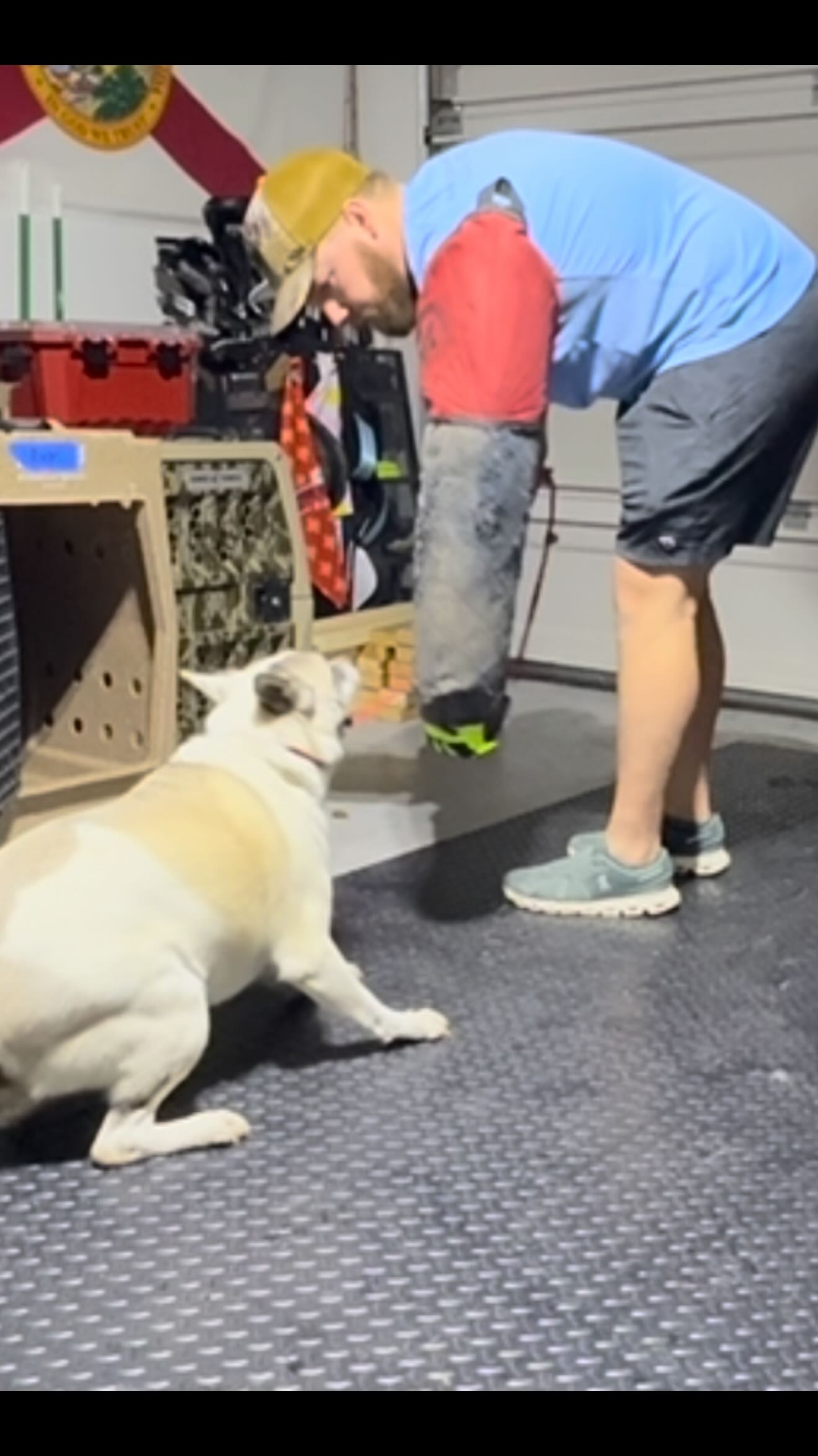 I know it doesn’t look like much, but Boomer letting me scratch his back is a big step in the right direction.
He’s been a classic case of “kill him with kindness” (while protecting myself).
Here’s the thing, when you correct dogs for being afraid, you give them a REASON to be afraid. Instead, I control the situation to ensure my own safety, and move at the dog’s pace. Slowly pushing thresholds until he’s totally comfortable with me.