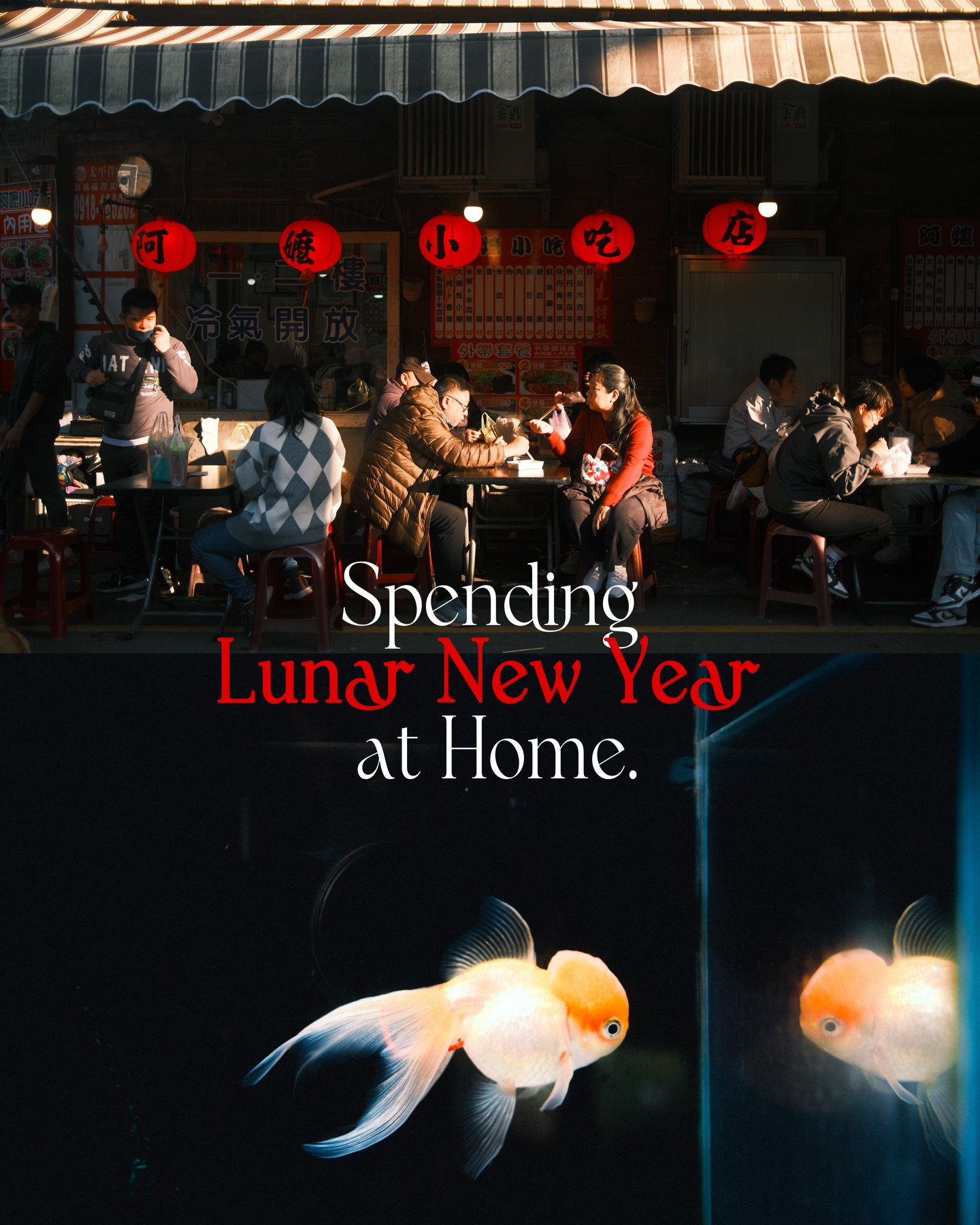 It has been years since I got to celebrate Lunar New Year with my family in Taiwan, so I wanted to capture that festive feeling around our house & neighbourhood🥹🧧
this was the first time I really saw art in the simple things my family does during new years- fruits and food offerings for gods and ancestors, chunlian up on the doors, and all the food of course. Everything was so beautiful yet nothing was staged, just their yearly routine :”)
Happy lunar new year everyone, 新年快樂❤️
…Guess which camera I shot these on🫢 @fujifilmx_ca