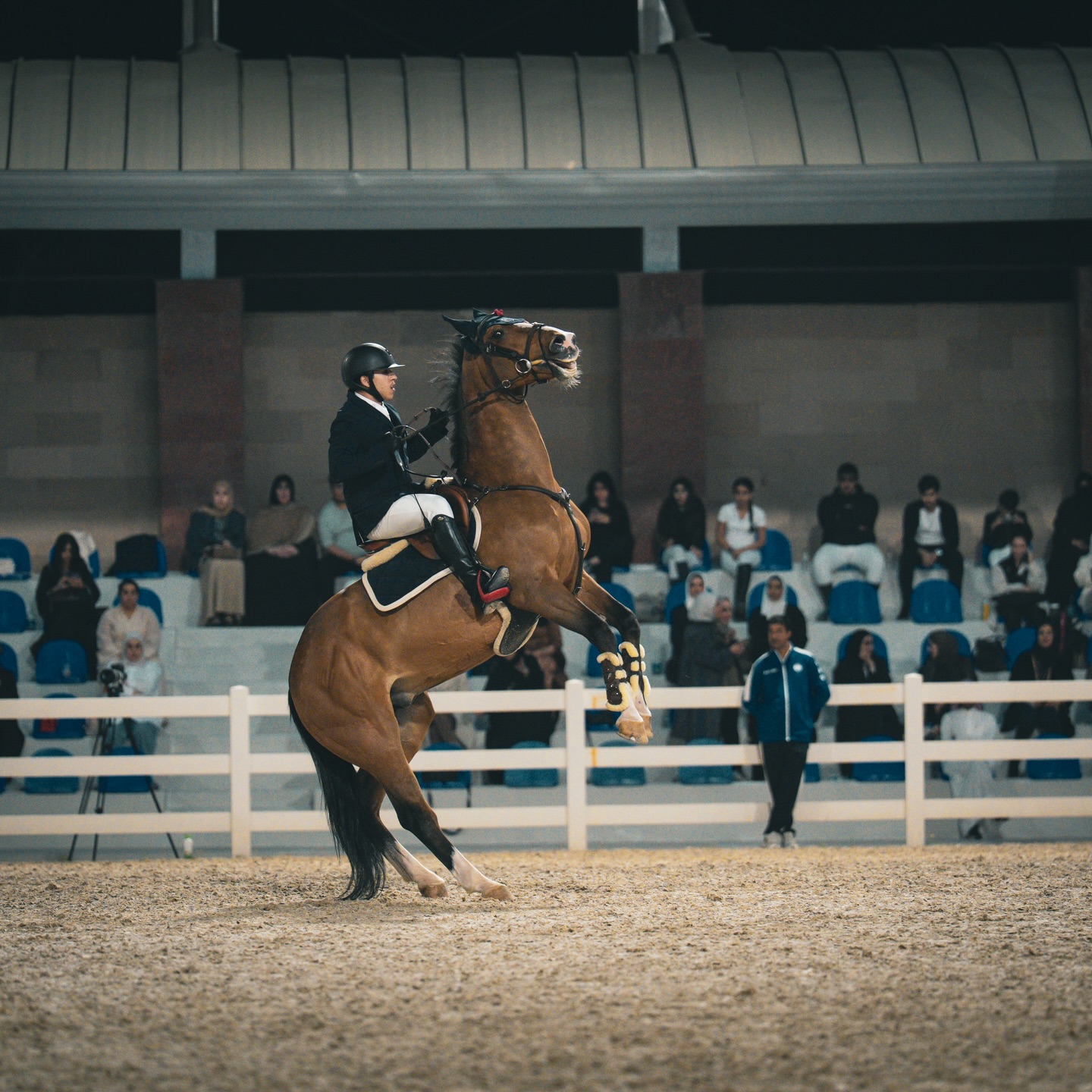 تصوير لبطولة الاتحاد الكويتي للفروسية التي أقيمت في نادي الشرطة للفروسية.
اتمنى تعجبكم الصور.😍
واذا تعرفون احد سووله منشن ماعليكم امر🙏🏻💙
Random captures from the KEF Championship, hosted at the Police Equestrian Club.
Hope you like the shots.😍
Tag someone you know! 🙏🏻💙