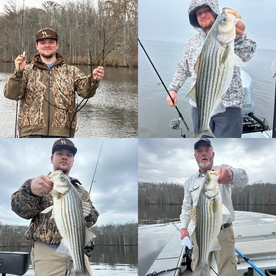 @ben__monds caught the biggest tree pounder that was boated of the day, after that award was given out we talked farming and caught fish with his buddies @timbo_252 and Mike. The guys boated at least 30 stripers on our foggy adventure. Enjoyed guys! #striper #striperfishing #stripers #winterfishing #fog