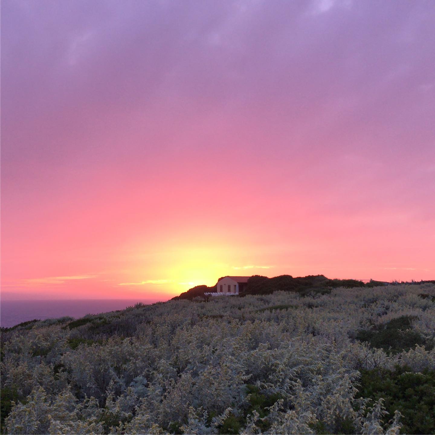 spettacolo cromatico che annuncia l’arrivo dell’estate alla #Nurra