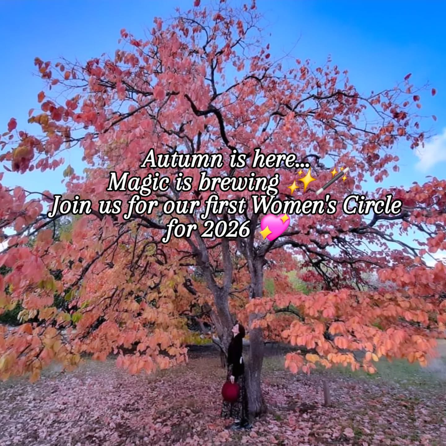 Blessings on this first day of Autumn ✨️🙏🍂
Can you feel the seasons begin to turn and the energy gently starting to go inward?
Autumn reminds us of the beauty of change, of letting go, of softening, of trusting the natural cycles of life.
In just a few weeks, we will be gathering for our first Women’s Circle of the year to honour the Autumn Equinox.
Join me as we dive into sacred, ancient practices and mystery school traditions which will gently guide us to connect more deeply with ourselves, each other and the natural rhythms.
Women's circles are a safe and nurturing space to pause, reflect and be held in community.
If you feel called, I would love to journey together.
✨ Early bird tickets are $60 when purchased before March 15th. Link in bio/comments to book.
If you feel called, I look forward to gathering in circle with you!
With love,
Melinda 💛🙏
#womenscircle #BunburyEvents #autumnequinox #SacredFeminine #ntentionalGatherings
