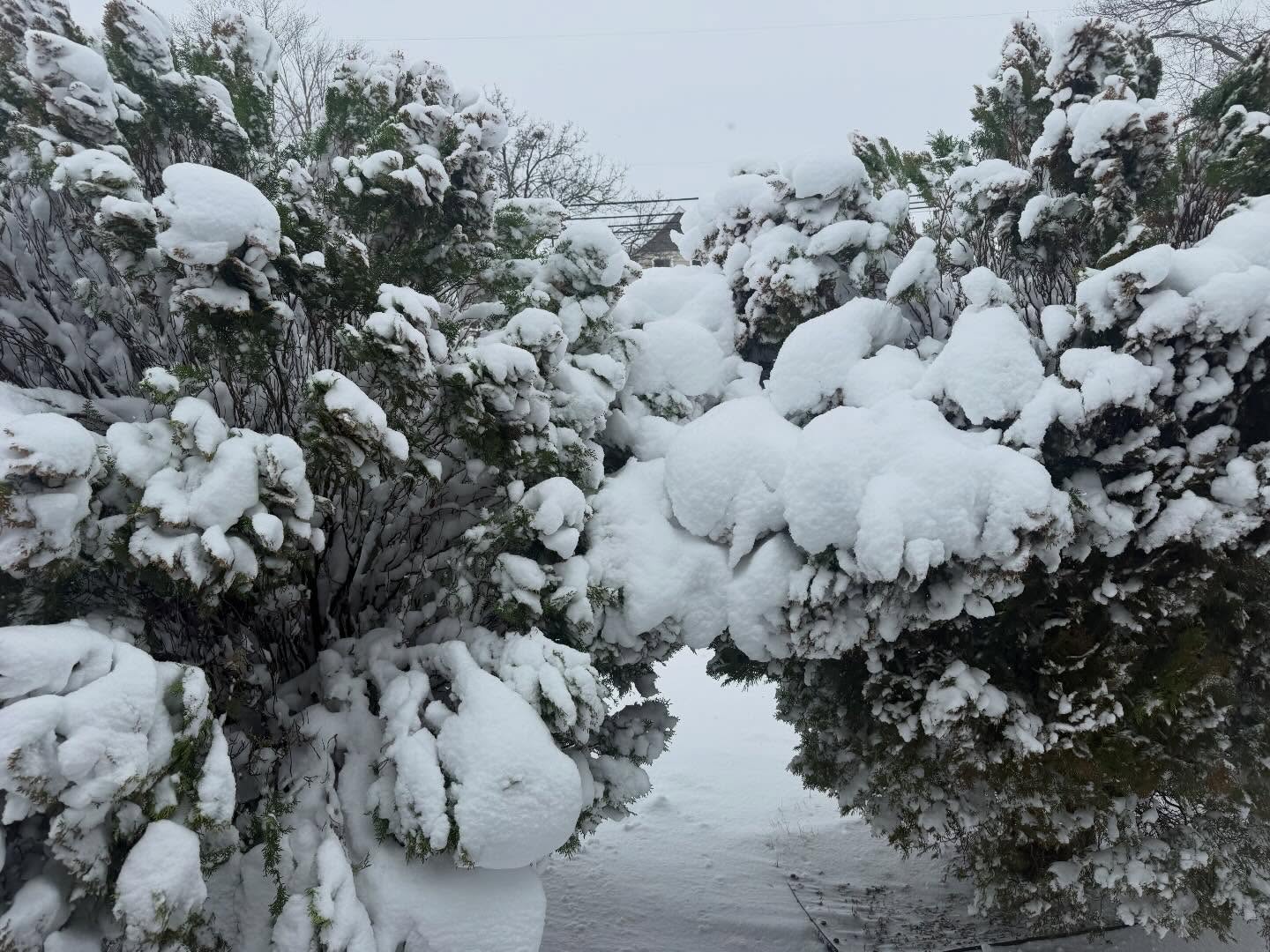 Snow Day โ๏ธ๐จ๏ธโ๏ธ๐ฅถ