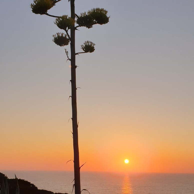 il guardiano del faro alla Nurra.
photo credit: Franco Cazzulino