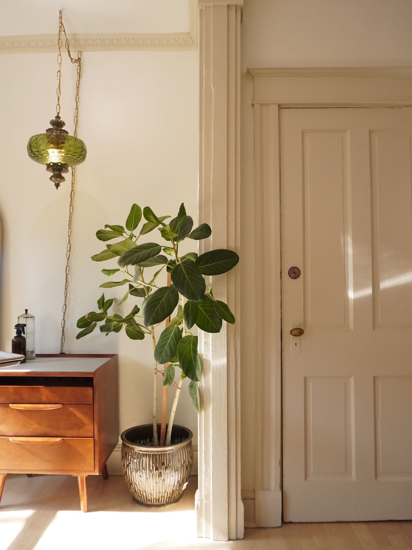 We can't tell you how much we love cozy corners that make you feel like in your some place familiar.
#salon #salonvibes #alexva #alexandriava #dmvhair #dmvsalon