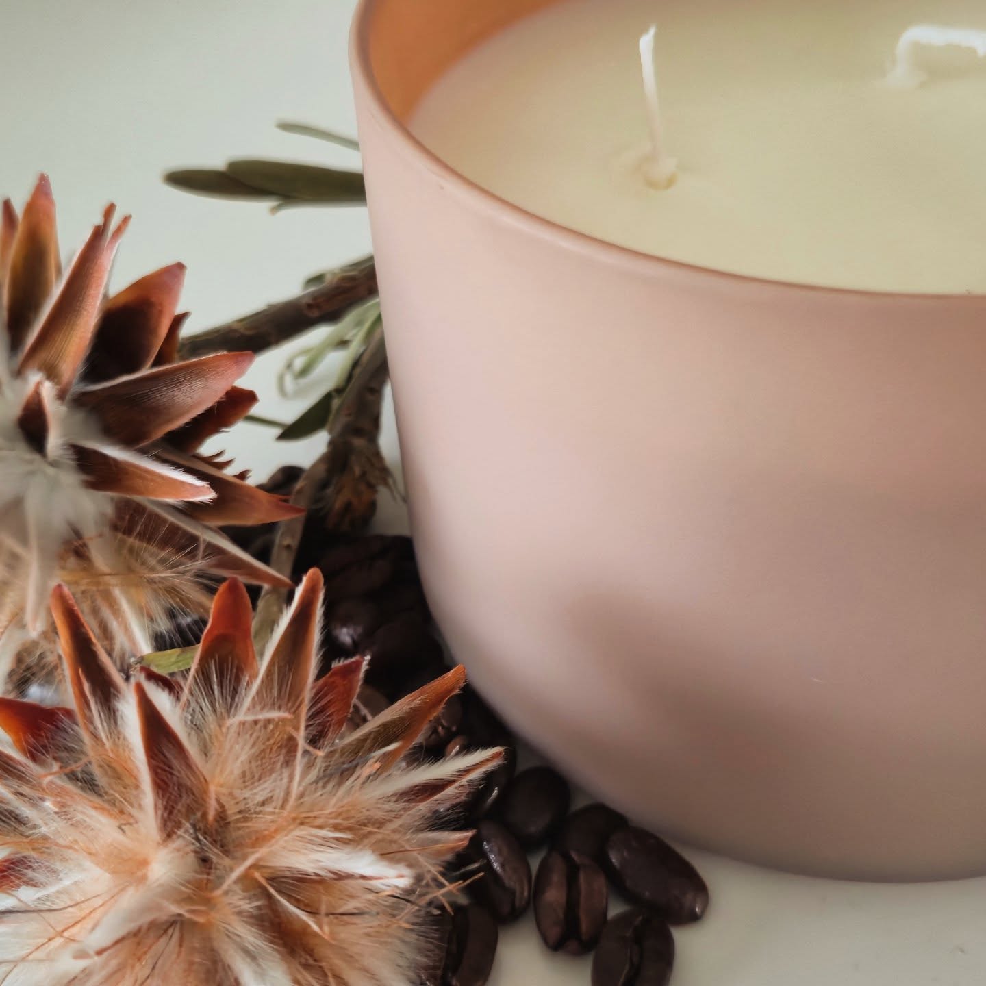 ✨ Nieuw in ons assortiment! ✨
Wat een heerlijke combinatie… 📖☕
Onze grote ronde kaars met 3 lonten in stijlvol mat glas is een echte sfeermaker in huis. En de geur? Irish Coffee – warm, romig en onweerstaanbaar gezellig.
Ze is verkrijgbaar in twee prachtige kleuren: een zachte beige tint en een diepe bordeauxrode kleur die in elk interieur tot hun recht komen.
Perfect om je leesmoment extra knus te maken of om cadeau te geven aan iemand die houdt van boeken en gezelligheid.
💶 €25,95 per stuk
🛒 Te koop via onze webshop
📍 Ook verkrijgbaar bij Boekhandel t' Oneindige Verhaal
Breng warmte in huis en geniet van dat heerlijke koffie-aroma… Wie steekt ‘m als eerste aan? ☕✨