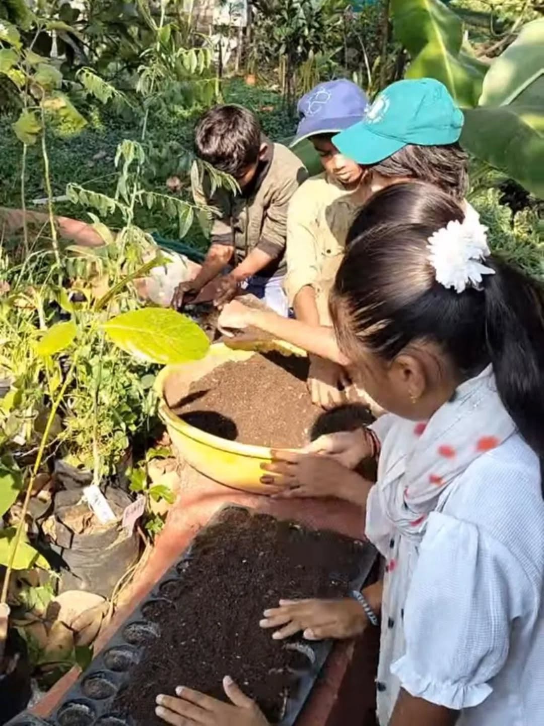 Yesterday, we had the joy of welcoming a small group of enthusiastic young farmers to FarmLife Organic Farm. These children are part of The Learning Centre, Moira’s Community Learning Programme. They’ve been lovingly tending to the TLC garden and were eager to visit a “real farm” — and we were more than happy to open our gates to them! They sowed seeds, learned how we work in harmony with the seasons, explored the entire farm, interacted with the animals, and participated wholeheartedly in every activity we had planned. Their curiosity, energy, and excitement were truly refreshing. Seeing the next generation drawn toward farming, kitchen gardens, and growing their own food gives us great hope. Watching young minds reconnect with the soil is a beautiful and much-needed change. The future of farming looks bright 🌾✨