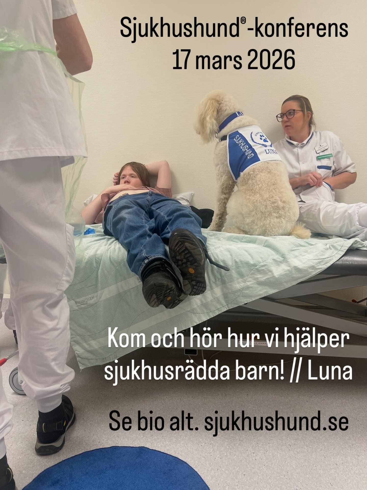 Sjukhushunden® Luna hjälper till på läkarbesöket! 🐾💕 Foto med samtycke. Anmälan till konferensen - se bio alt. sjukhushund.se #hospital #dog #children #best #help