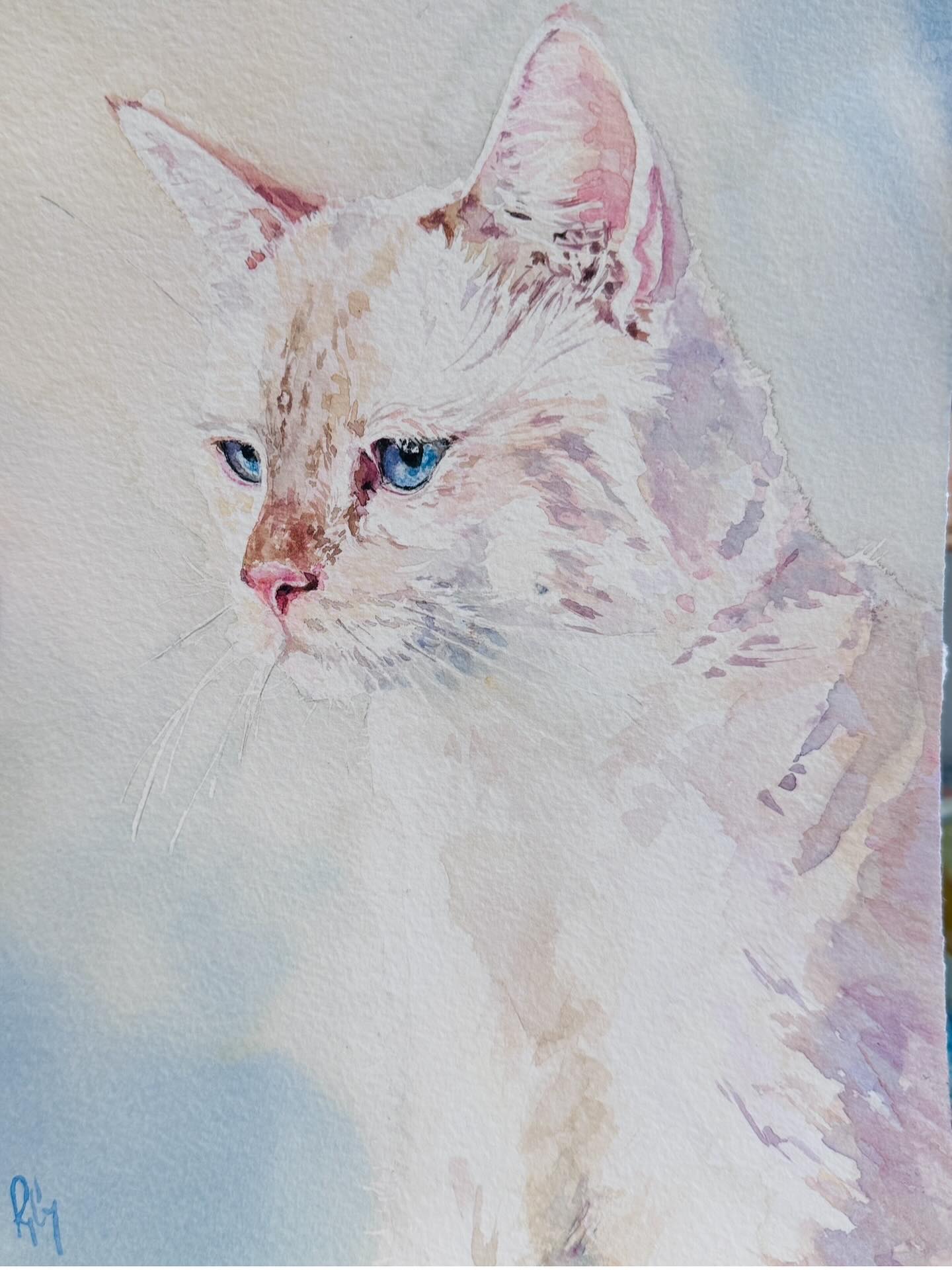 Atticus the Cat Commission. Yes, I do commissions! Of all sorts of things. Reach out if you are interested.
#cateatercolor