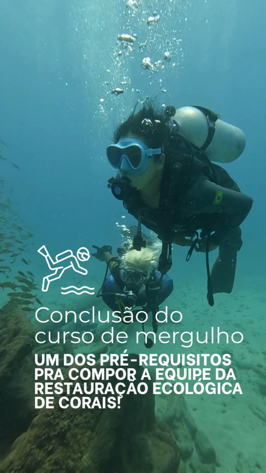 Um dia de realização para a equipe SUPER! Membros da equipe concluíram o curso de mergulho, um dos pré-requisitos para integrar a equipe da Restauração Ecológica de Corais.
Através da parceria com o @inpact.org.br , @clubedomergulhojp e @espacooceano_ , estiveram realizando o batismo nos naufrágios Alice e Queimado, ambos integram a Área de Proteção Ambiental Naufrágio Queimado. Estes naufrágios são verdadeiros patrimônios culturais marítimos do Atlântico.
O dia não poderia estar melhor... com visibilidade, pouca correnteza e repleto de biodiversidade marinha. A equipe esteve unida e segue mais fortalecida para seguir com os objetivos propostos no PREAMAR.