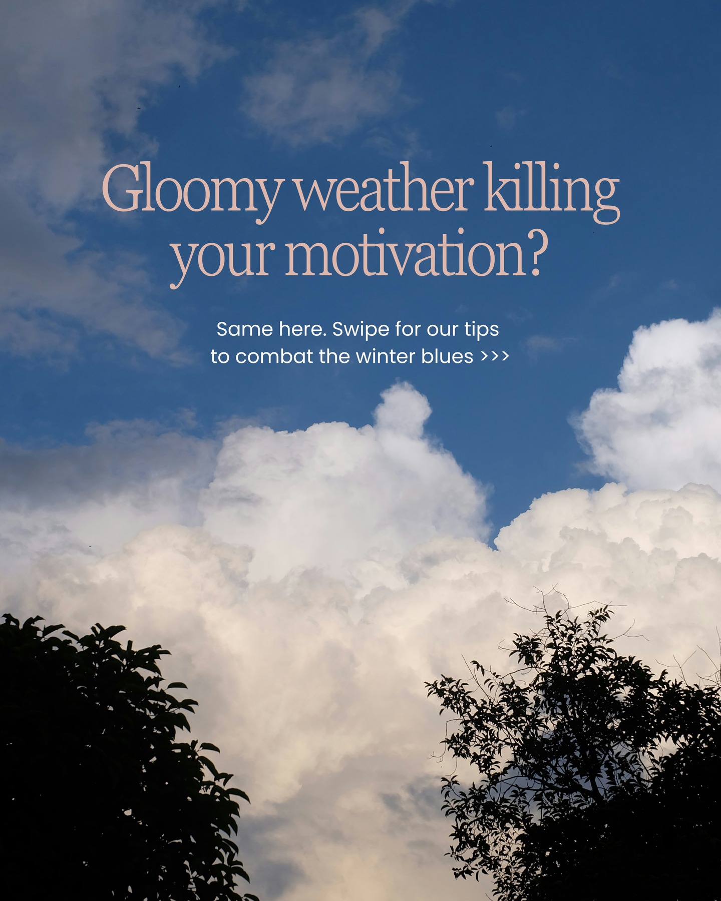 Today I saw actual sunshine for the first time in what feels like forever! It made me realise how much I’d been missing it and how much the constant grey weather has been draining my mood, energy and motivation.
If you’ve been feeling the same, you’re not on your own. Winter really does make everything feel harder, especially running a business and keeping on top of your finances.
Swipe to see what things have helped me during these gloomy days 🌥 I'm definitely finding that it's the little things making a huge difference.
#sad #winterblues #womeninbusiness