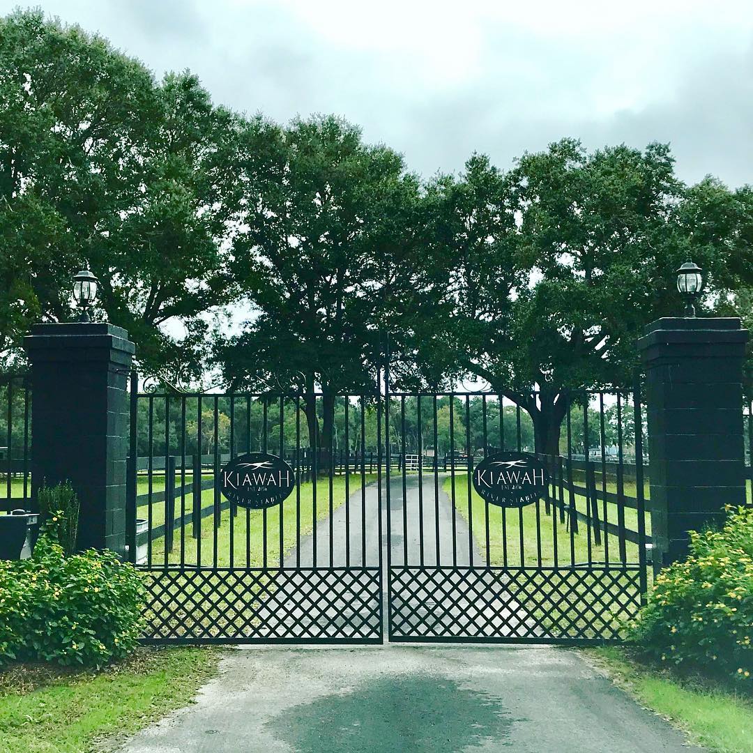 Entry to job site aka horse farm heaven 🖤