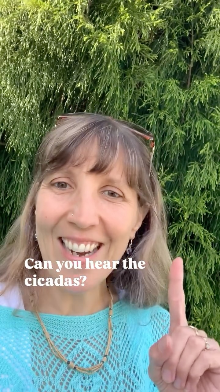 Something’s brewing in 4 weeks exactly. A very special date.
Enjoying the summer day with the cicadas.
See you tomorrow!
#reveals #wellnessevent #riseup #equinox #selfcare