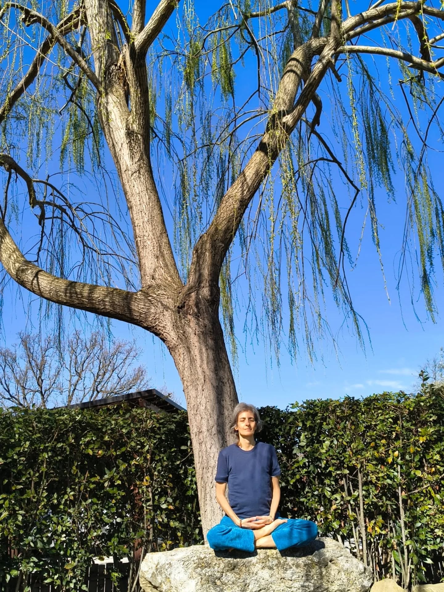 Accompagnami nel gesto beato
tu reclini in piano il cielo, lo sostieni
perché non trattieni,
tu esili rami di grazia ricevuta e donata,
sembri un trionfo di gesta materne.
Respirami mentre ti guardo, a stento rimango umana, sento un soffio di pergamene nell'aria e le voci di litanie che attendono l'aurora.
I defunti mi attraversano e tu, salice dai mille abbracci, sei ricettacolo di festa.
Non trattieni tu, sei inchino che si ammanta di divino e ogni pena non la piangi perché la sospendi,
come radici più sottili rendi i pensieri.
Chi si ricorda, riposa in te. Riaccorda le membra in rimembranza sacra.
Mi sono accorta di questo sentimento, e ho ceduto il peso sotto le tue miti braccia di foglie e vento.
#poetryoftheday
Belforte del Chienti, 22 febbraio 2026
#bellezza #natura #anima #poesia