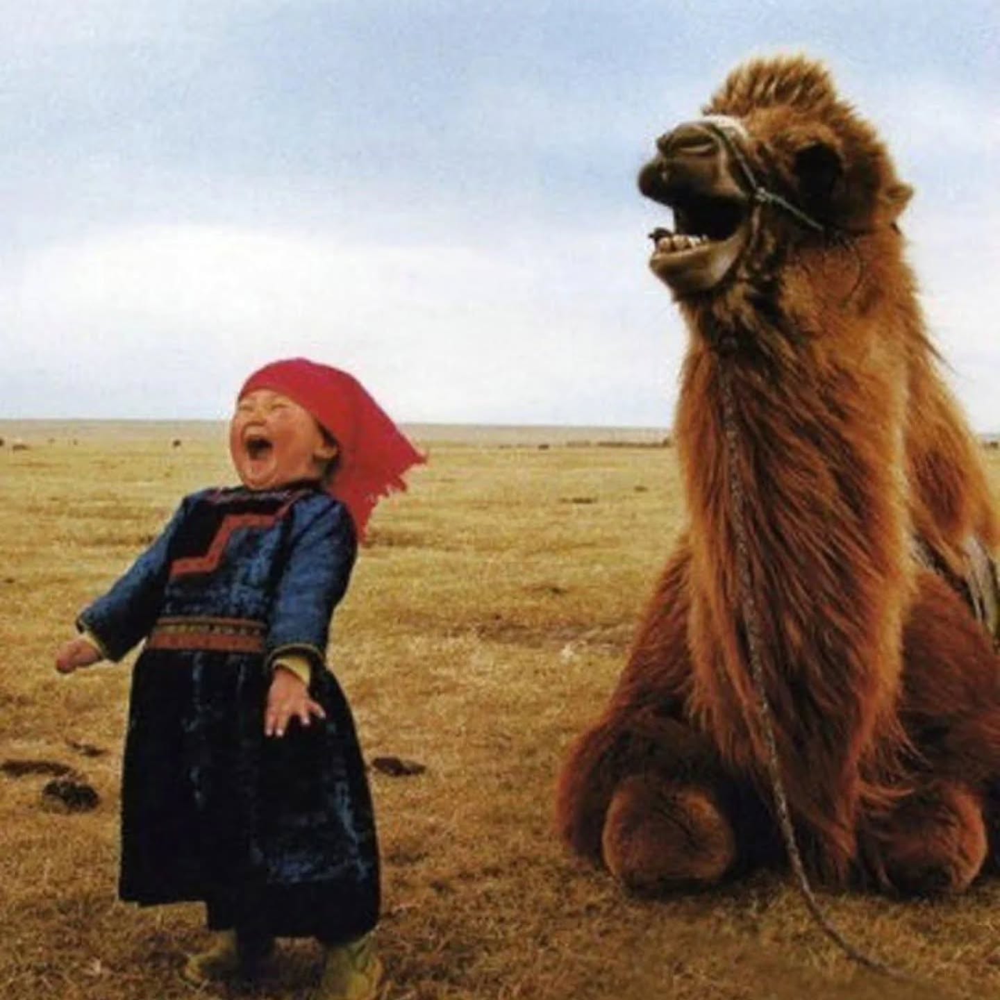 ๐ช๐ต๐ฎ๐ ๐บ๐ฎ๐ฑ๐ฒ ๐๐ผ๐ ๐๐บ๐ถ๐น๐ฒ ๐๐ผ๐ฑ๐ฎ๐? ๐
โจ๏ธMaybe it was sunlight on the wall.
A message you werenโt expecting.
The way someone said your name.โจ๏ธ
Let me know in the comments.
#interfaithminister #thankfulthursday #grateful #gratitudepractice
Photograph by Hancheng Li.