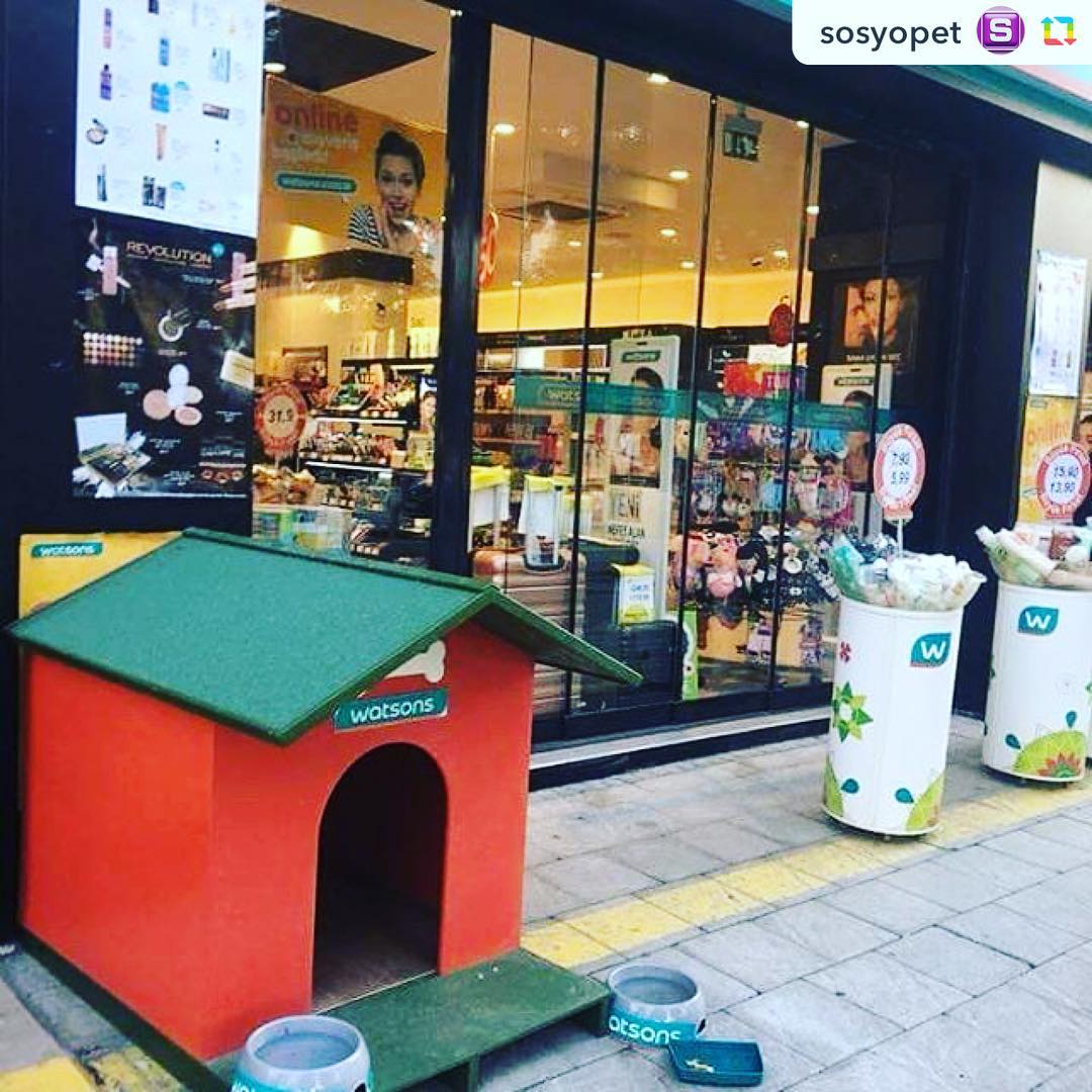 😍Kulübelerimizi yerlerinde görmek ne büyük keyif! 🐶♥️😊🌈Teşekkürler @watsonsturkiye @sosyopet #GPRepost,#reposter,#notetag @sosyopet via @RepostApp ======> @sosyopet:İyi insanlar ve iyi firmalar bilinmeli ve desteklenmeli. from @adanabeslemegonulluleri - Adana Watsons Turgut Özal Bulvarı şubesine, sokak köpekleri adına teşekkür ediyoruz. Böyle güzelliklerin emsal olmasını umuyoruz. 🐶🐕🐾 #Watsons
#SatınAlmaSahiplen
#Adana #Besleme
#SokakHayvanları
#AdanaBeslemeGönüllüleri
#BeslemeGönüllüleri01
#SokakBeslemesi
#Köpek #Dog #Animal #Pet #Dogs #Pets #AnimalFeeding
#AnimalLowers #DogLowers #InstaDog #Cute #Smile #Love #Like #BabyDogs #Baby -